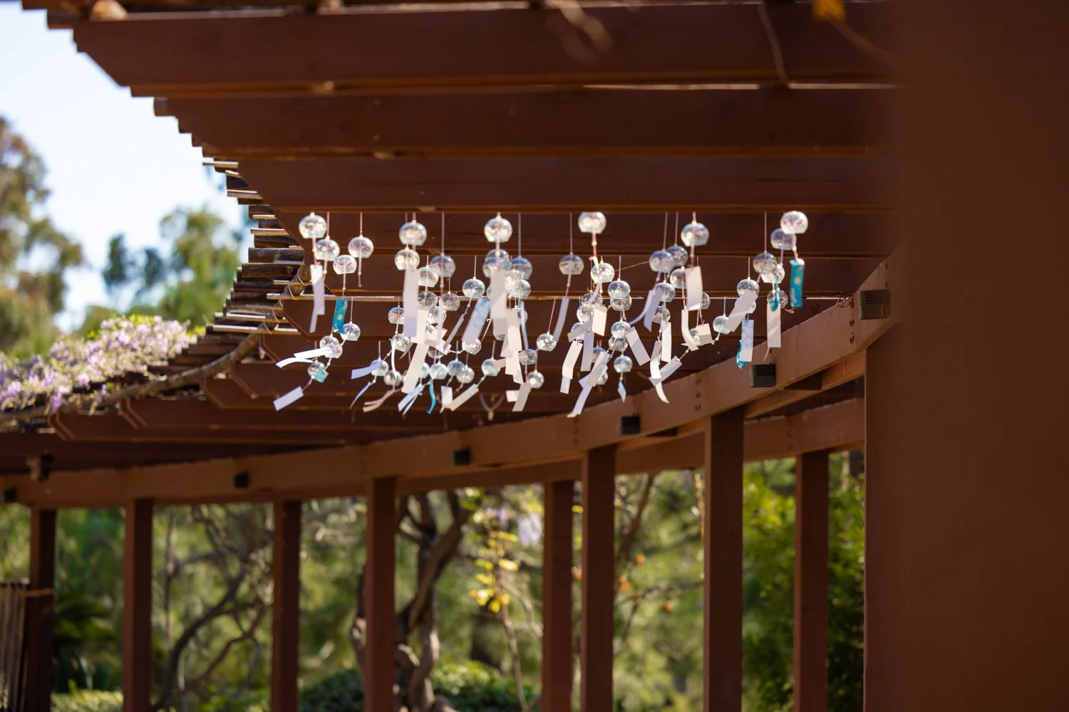 Japanese Friendship Garden-26.jpg