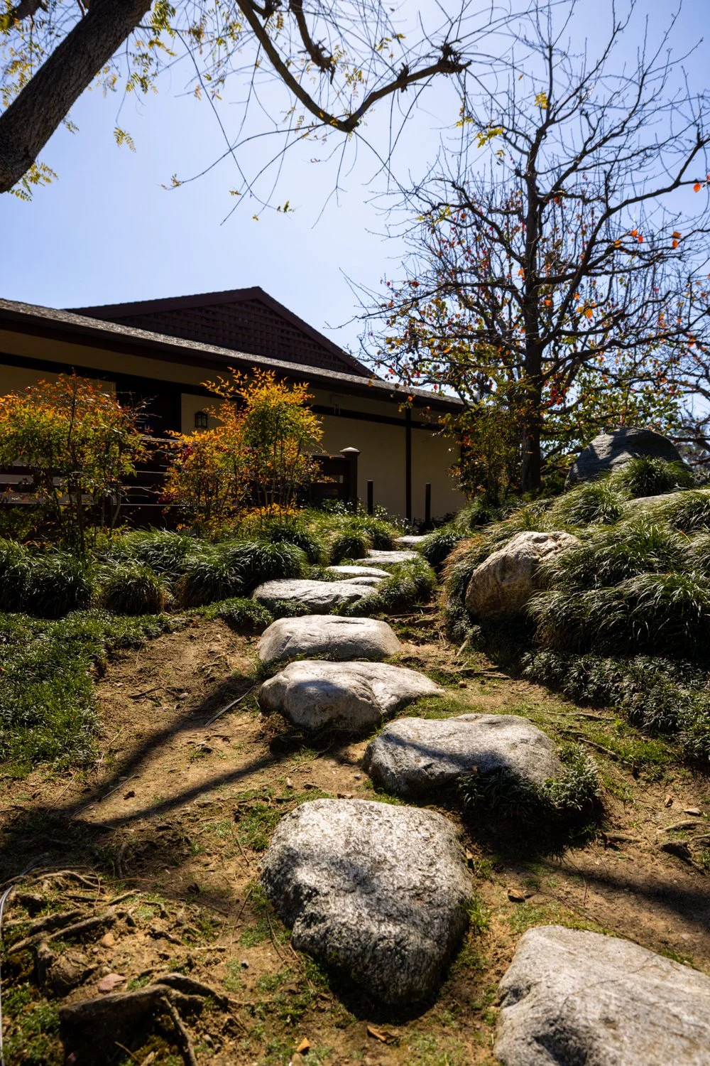 Japanese Friendship Garden-29.jpg