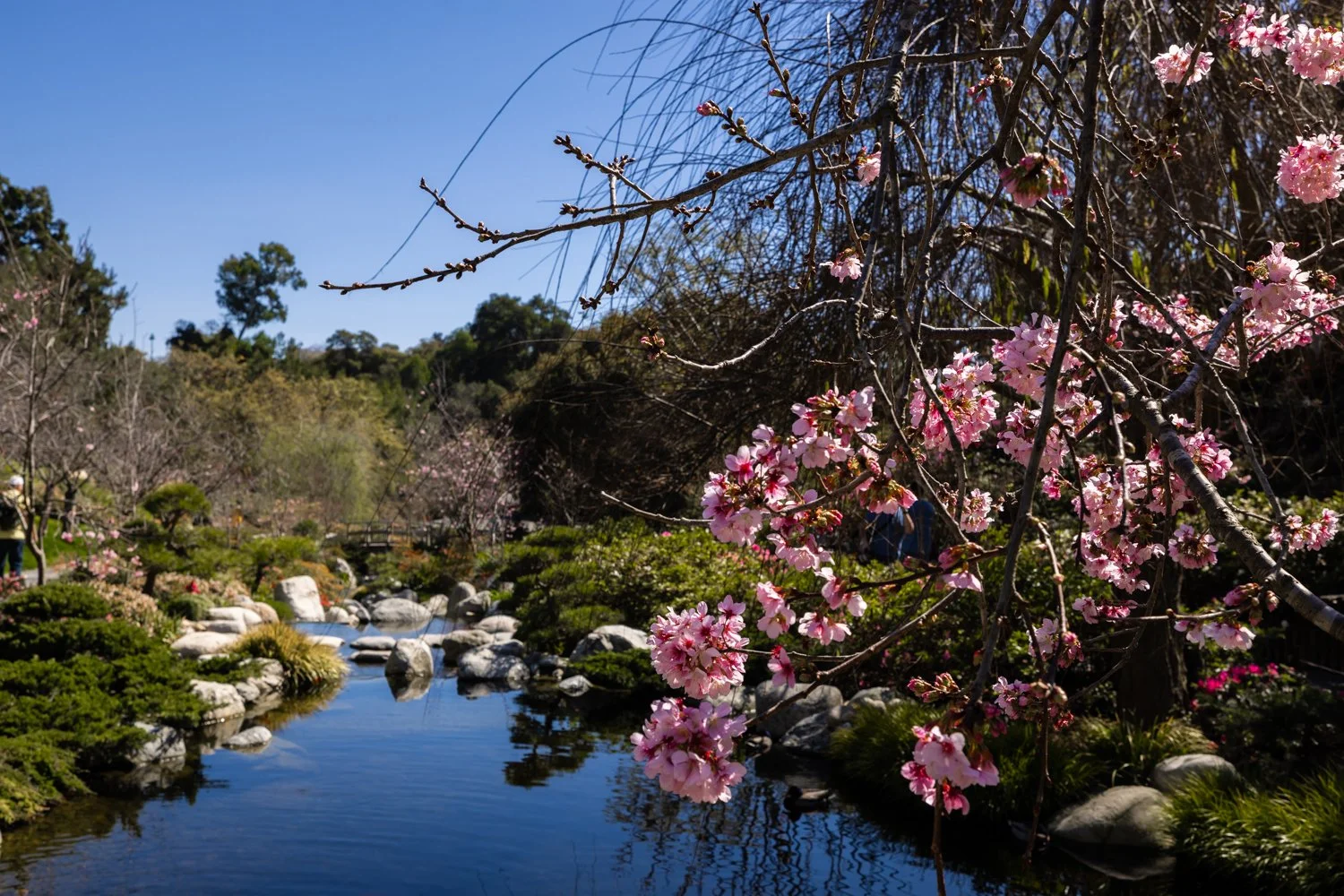 Japanese Friendship Garden-13.jpg