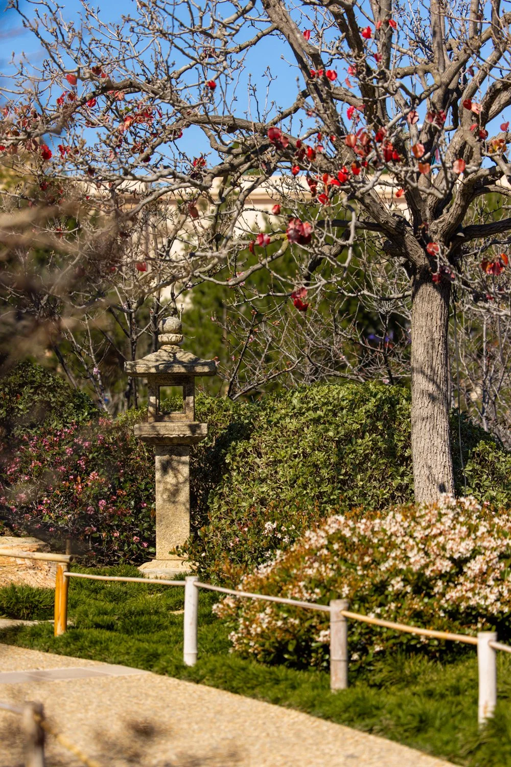 Japanese Friendship Garden-32.jpg