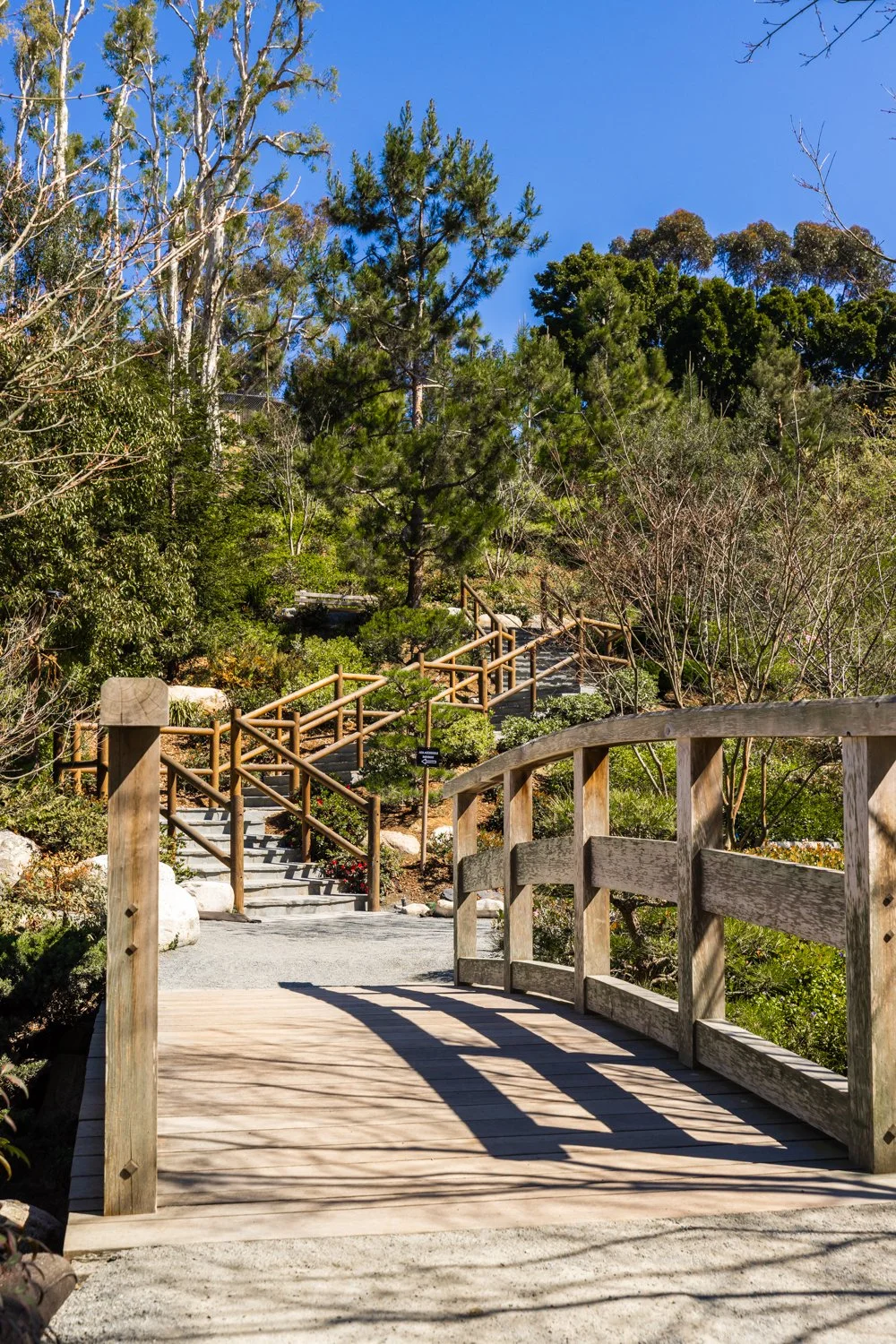 Japanese Friendship Garden-05.jpg