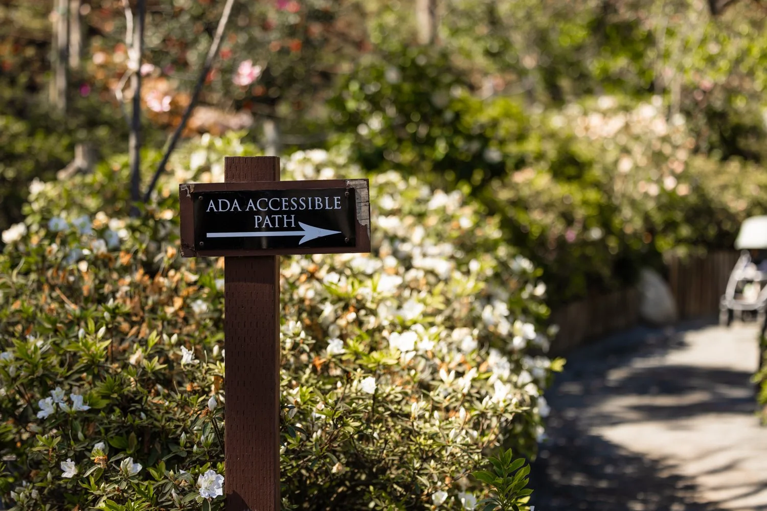 Japanese Friendship Garden-12.jpg