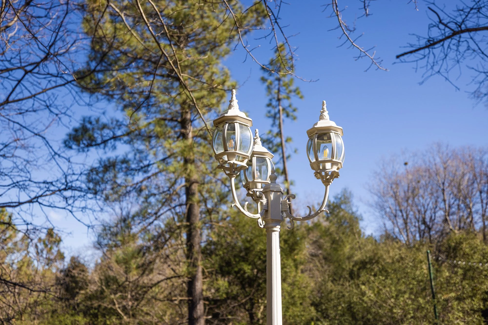 Sacred Mountain Ranch-06.jpg