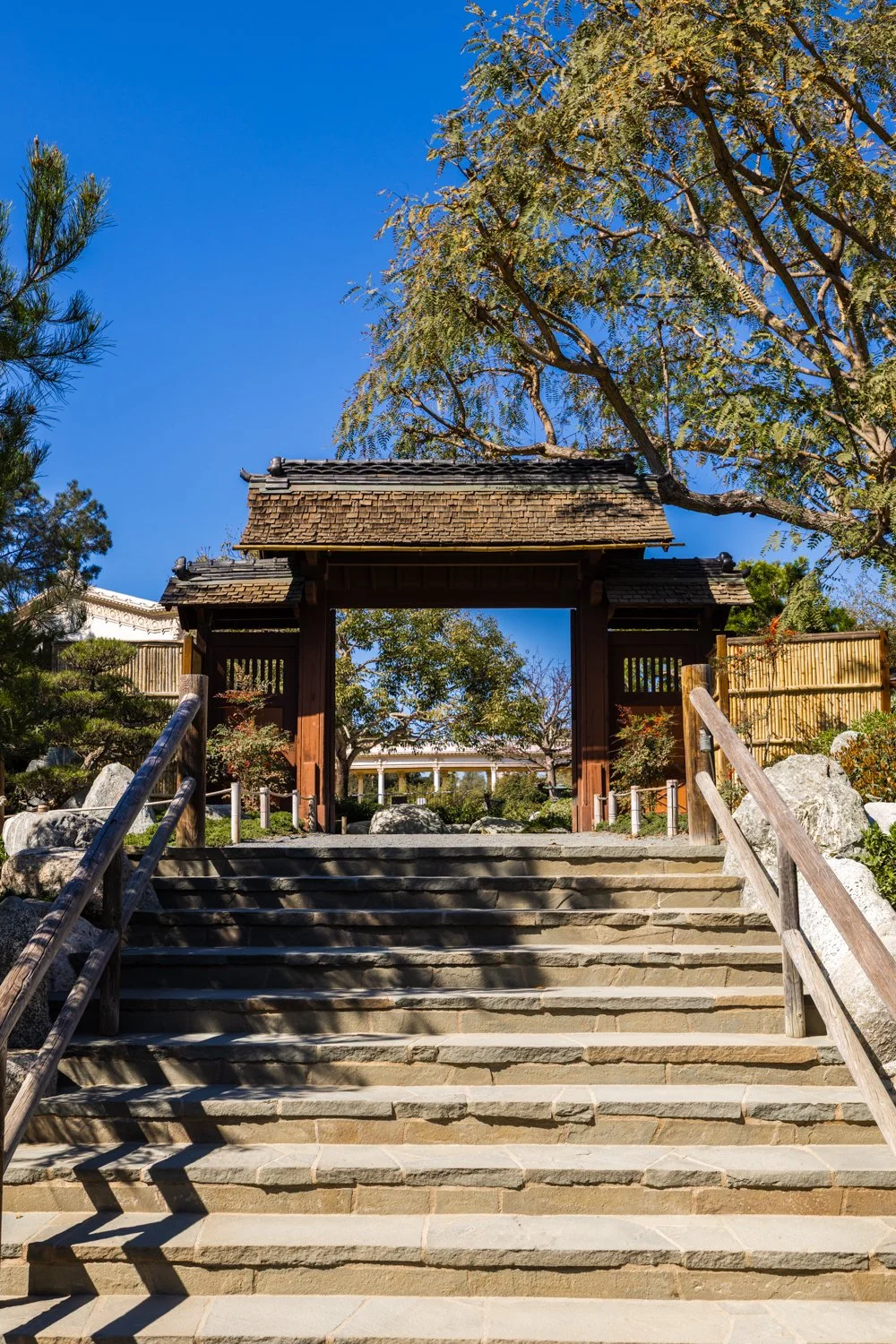 Japanese Friendship Garden-24.jpg