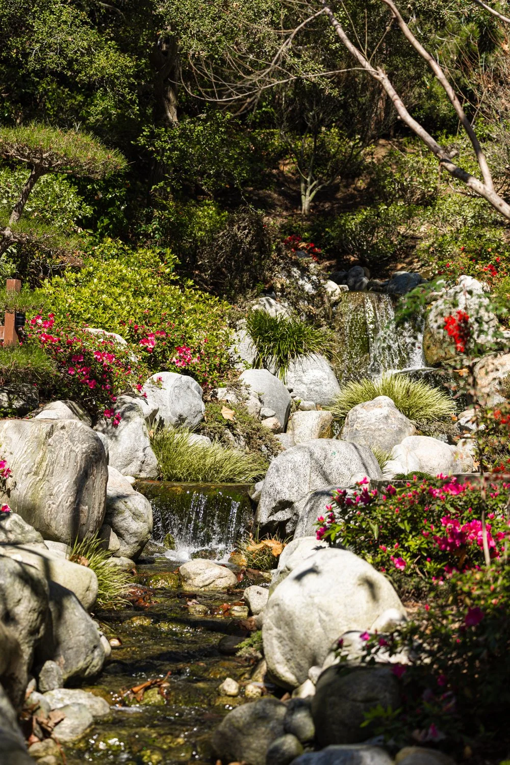 Japanese Friendship Garden-18.jpg