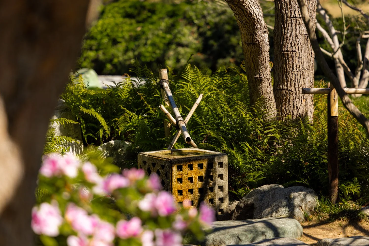 Japanese Friendship Garden-30.jpg