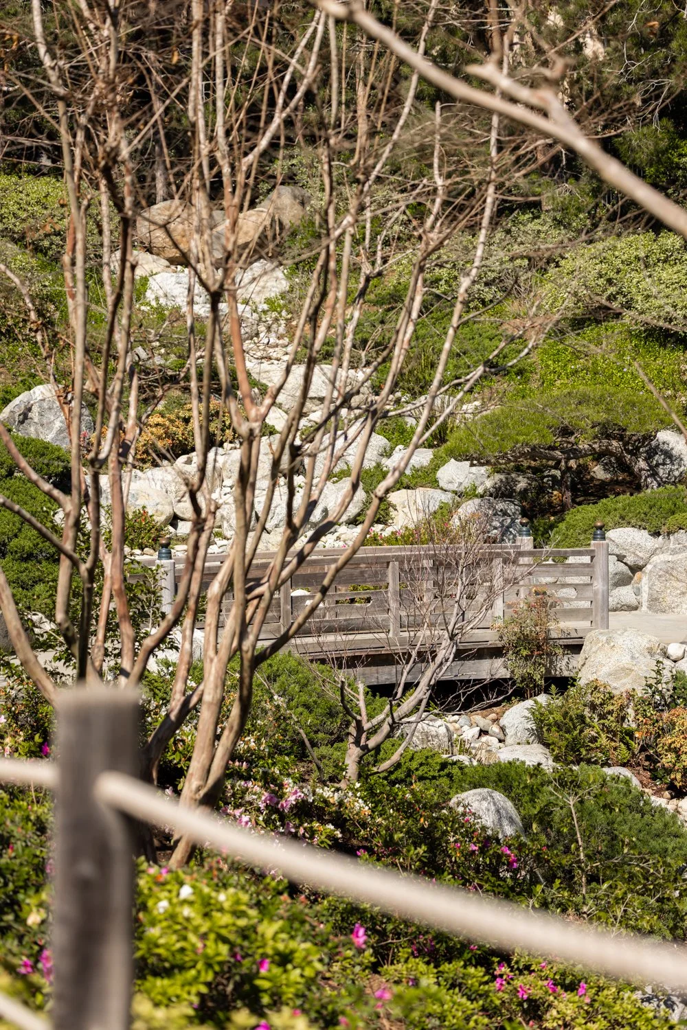 Japanese Friendship Garden-15.jpg