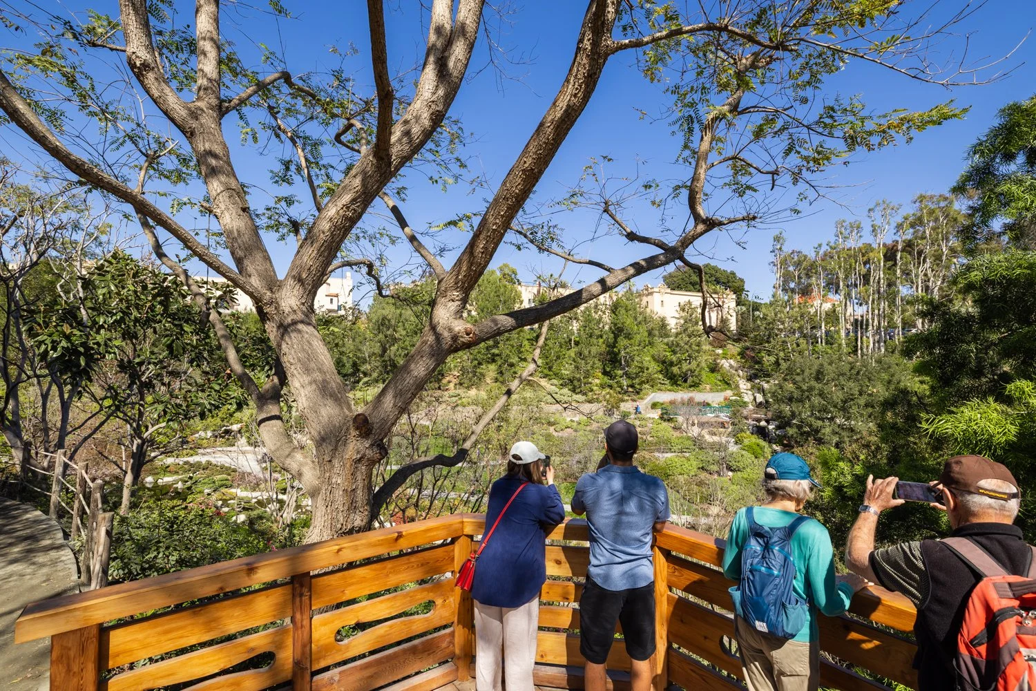 Japanese Friendship Garden-21.jpg