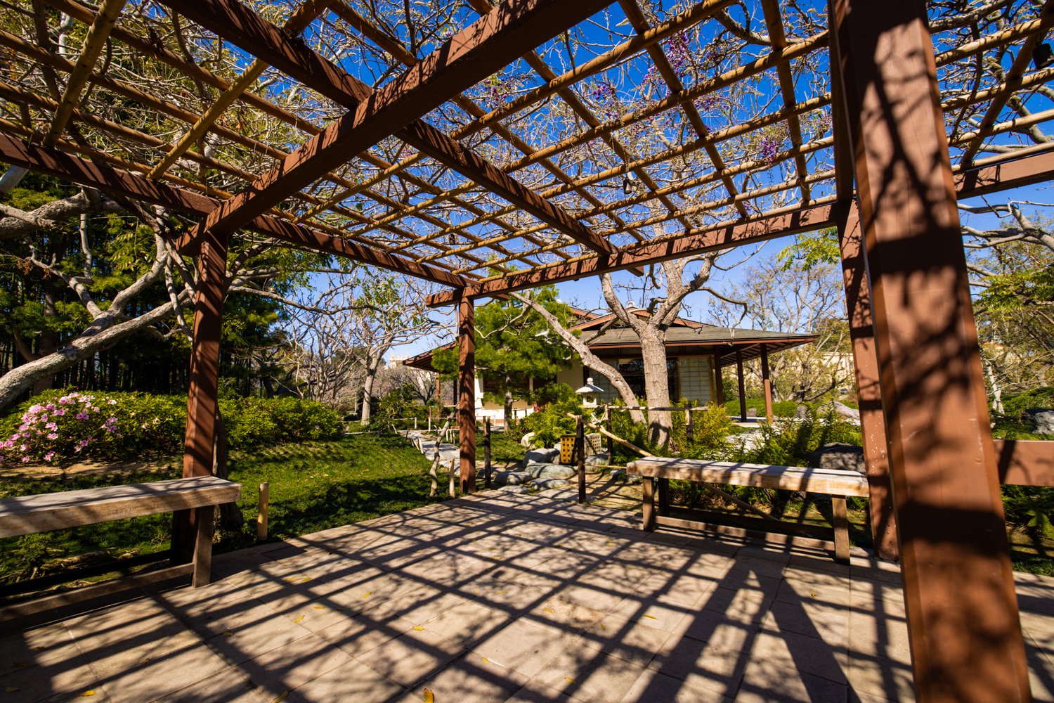 Japanese Friendship Garden-31.jpg