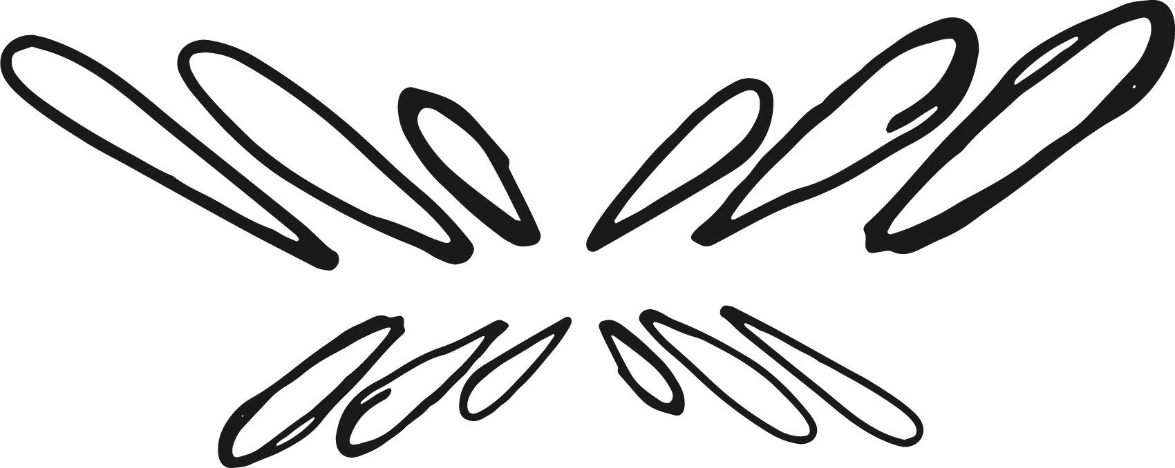 Black background with abstract, curved black lines forming a symmetrical, starburst pattern.