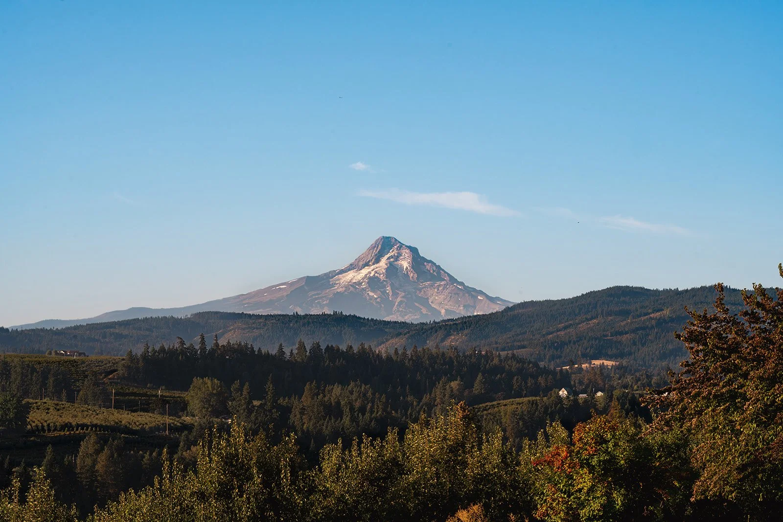 A mountain with a snow-capped peak visible in the distance, surrounded by green forested hills and trees under a clear blue sky.