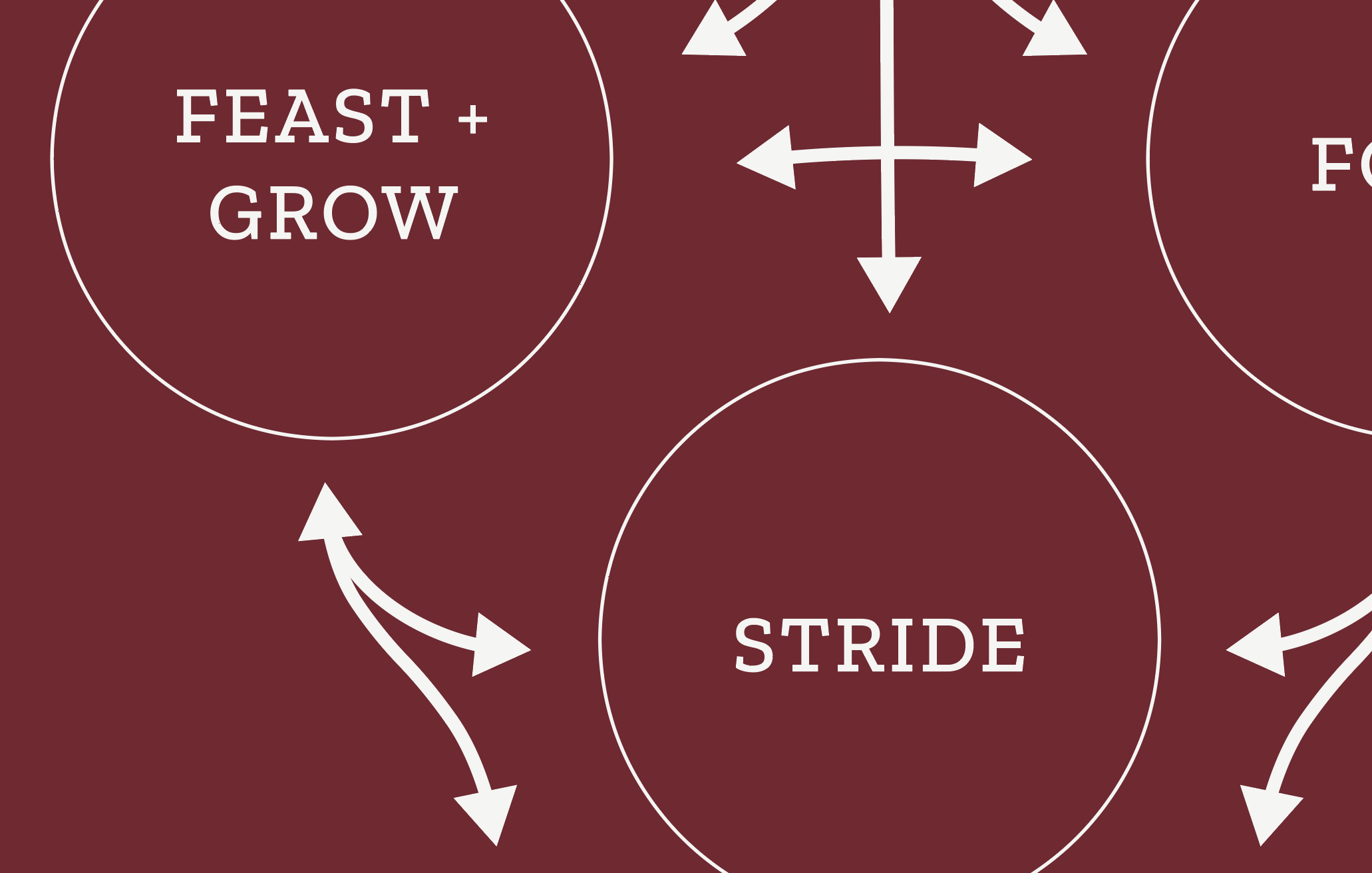 Making a complex organization easier to understand