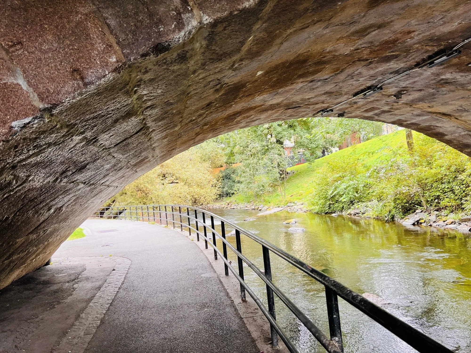 Too Much Friluftsliv