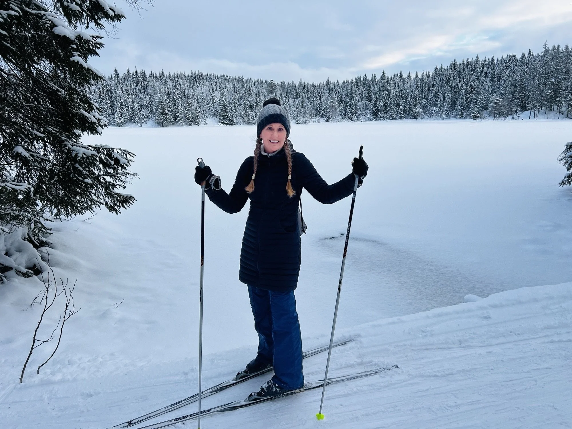 Gå på ski (Go skiing)