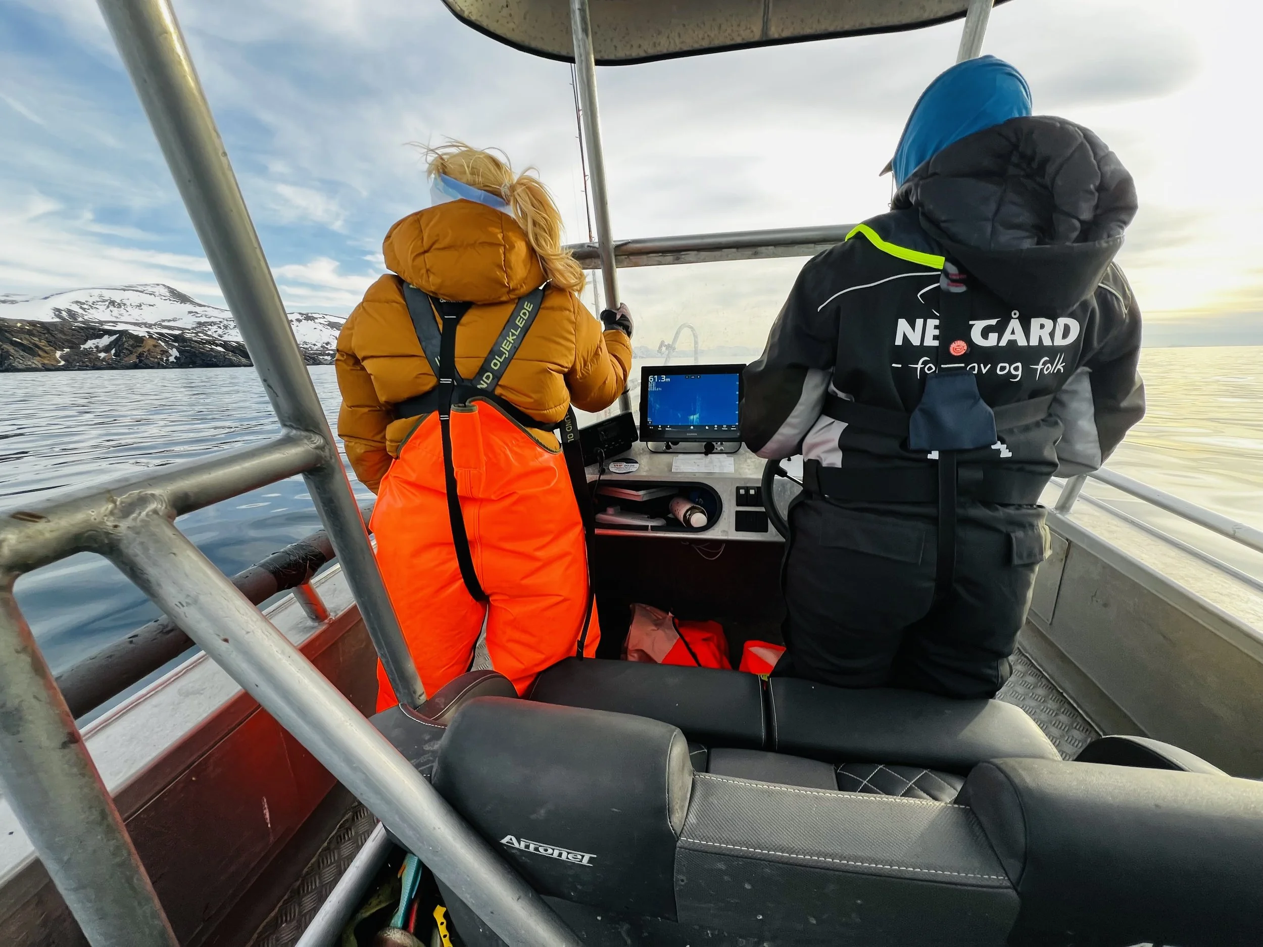 Agentisk Læring (Agentic Learning)