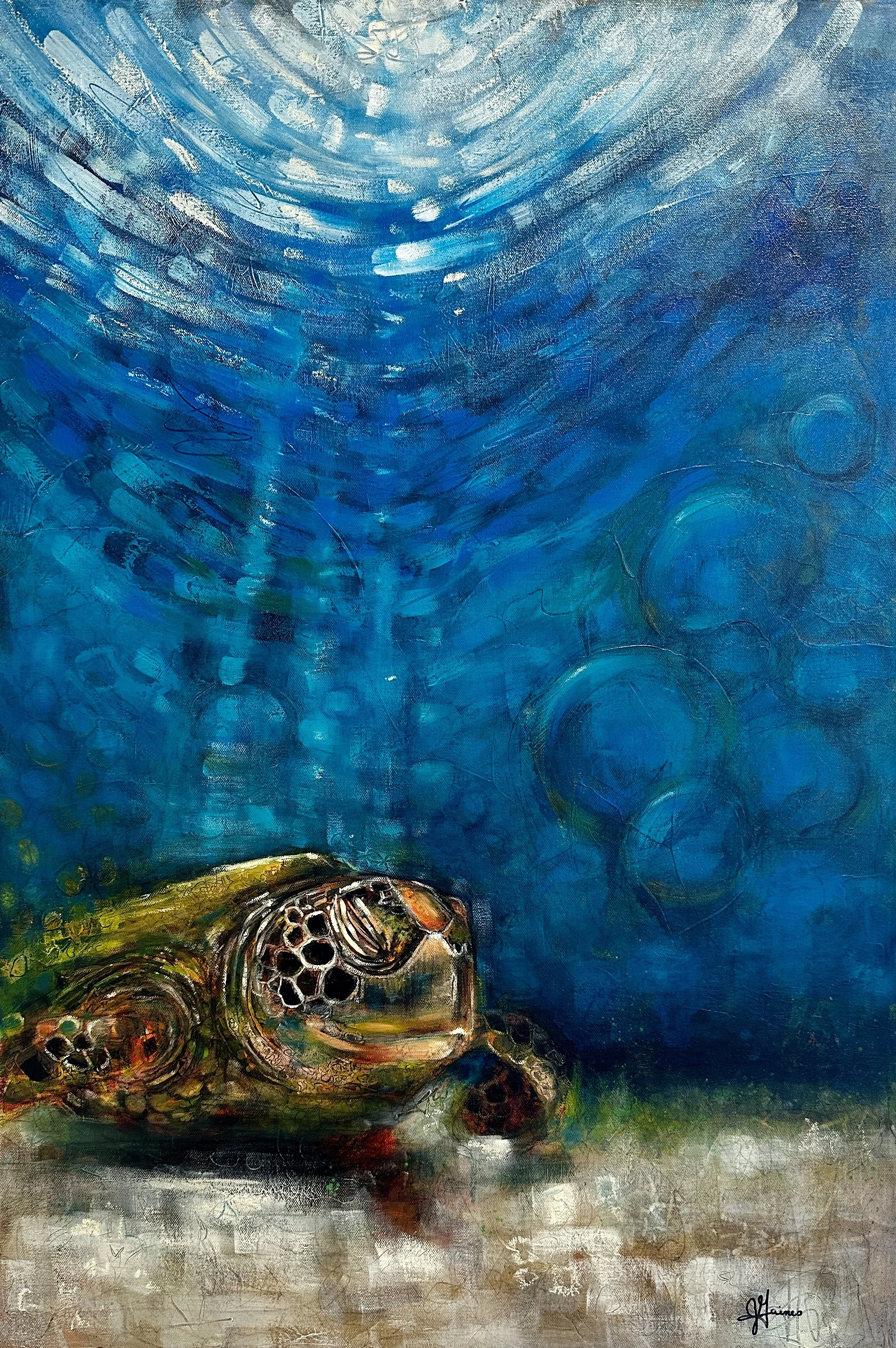 Turtle Dreams