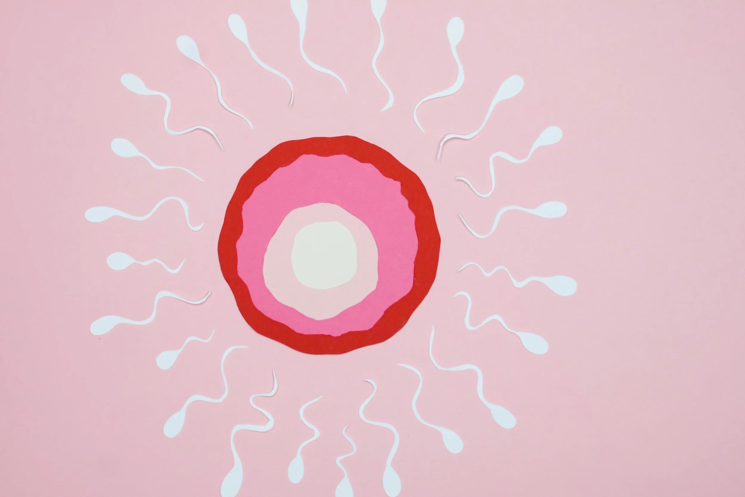 How Acupuncture Supports IVF and IUI Outcomes