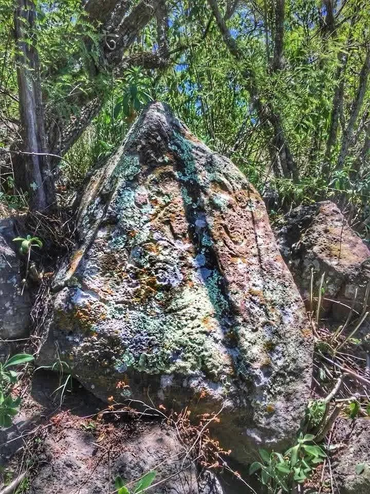 A large, weathered rock with moss and lichen growth, partially buried in dirt among green bushes and trees.