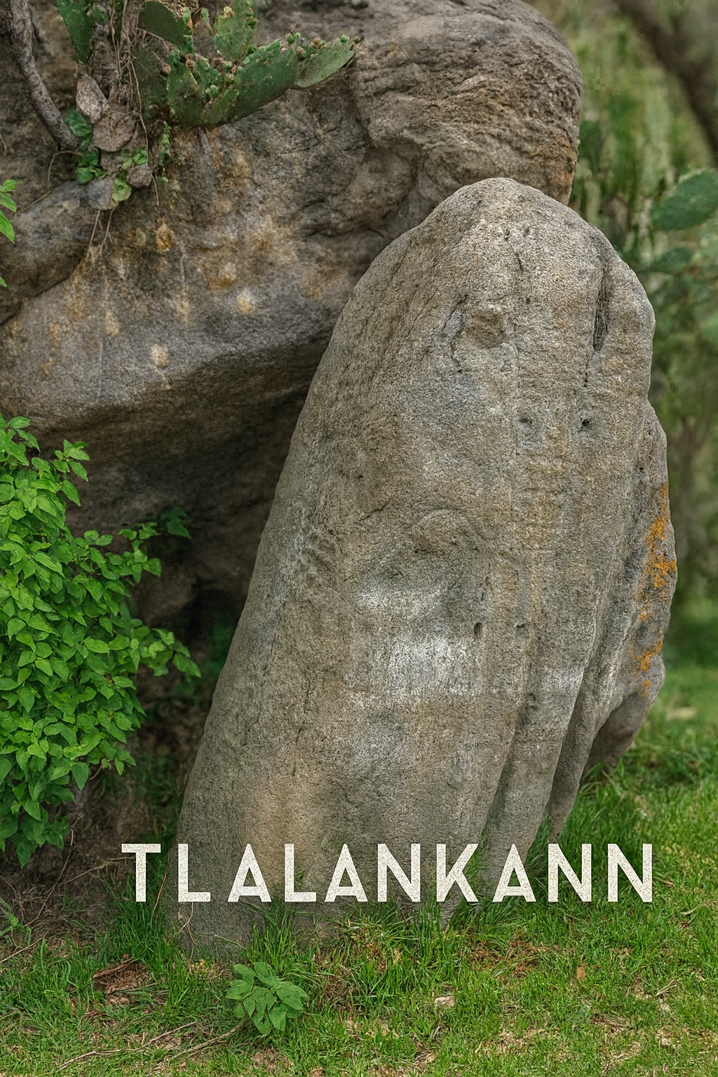 🗿 The Ancient Stele of La Pedrera — A Silent Witness of the Past LA STELLA AT TLALANKANN 