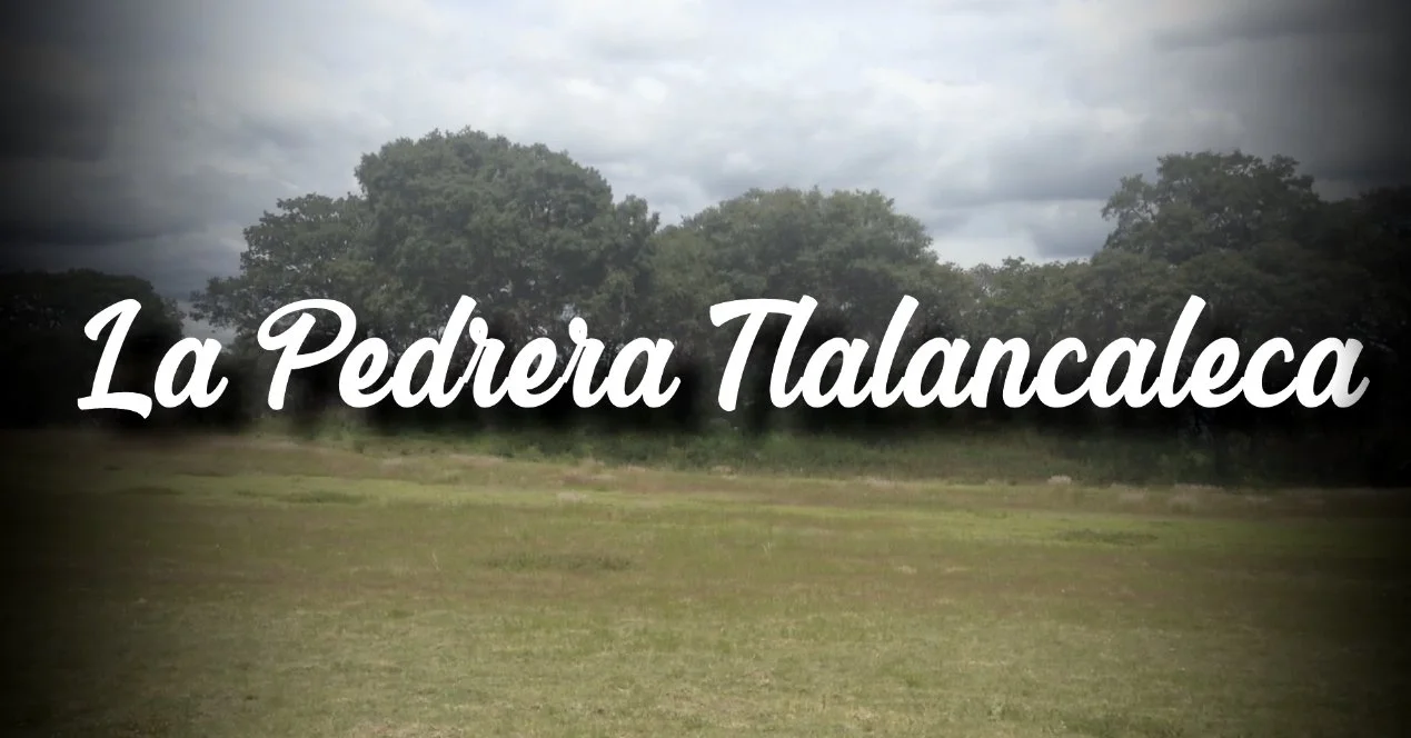 Turn Intention Into Action. The next step is not to wait —
it is to decide how you want to be part of what’s coming next.
