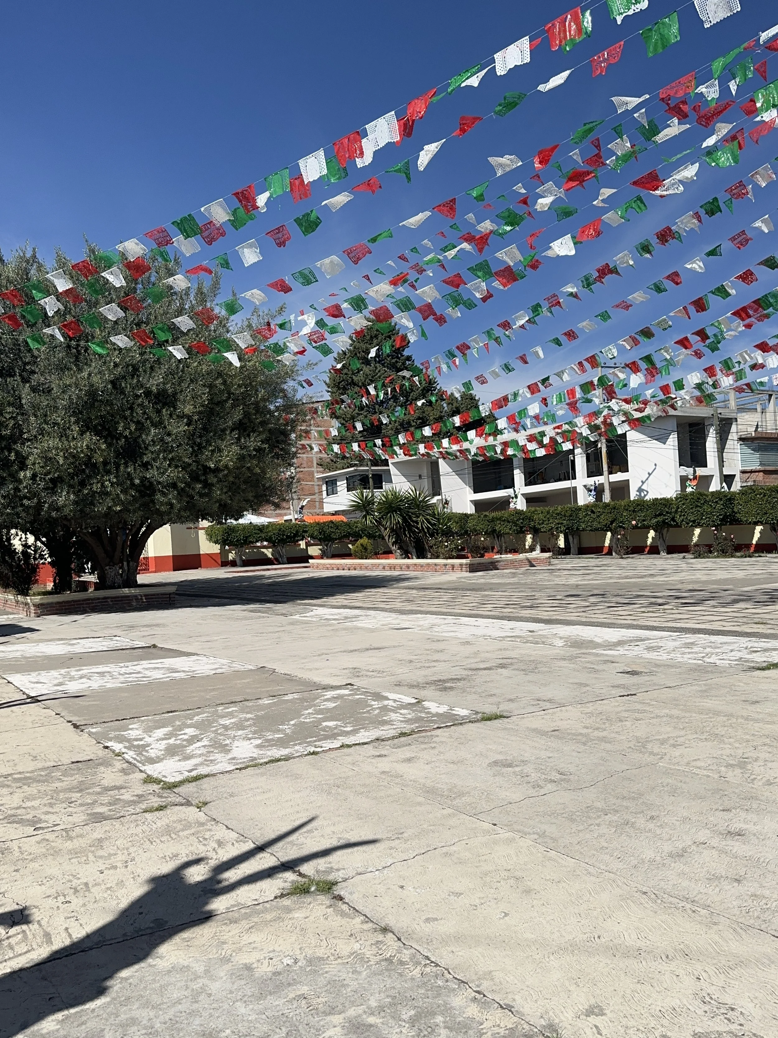 Outdoor scene with colorful flags hanging across the sky, including red, white, green, and silver, in a town square or open area with a tree, shrubs, and buildings in the background, under a clear blue sky.