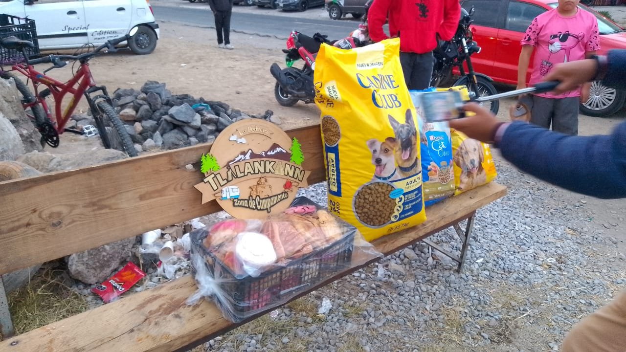 A person wearing a large witch hat and costume made of animal fur, holding an item, surrounded by other individuals under a canopy in an outdoor forested area.