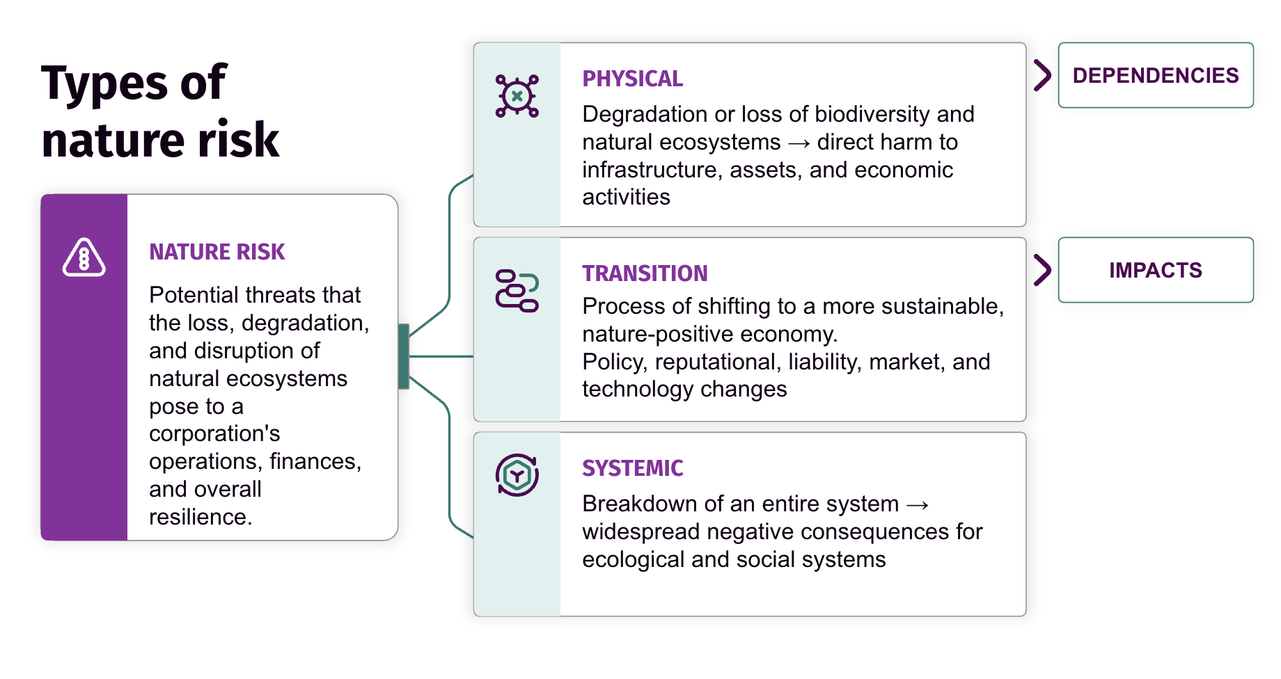 Diagram: Nature risk splits into three types. Physical risk (ecosystem loss harming assets) feeds into Dependencies. Transition risk (shift to nature-positive economy) feeds into Impacts. Systemic risk causes widespread ecological, social breakdown.