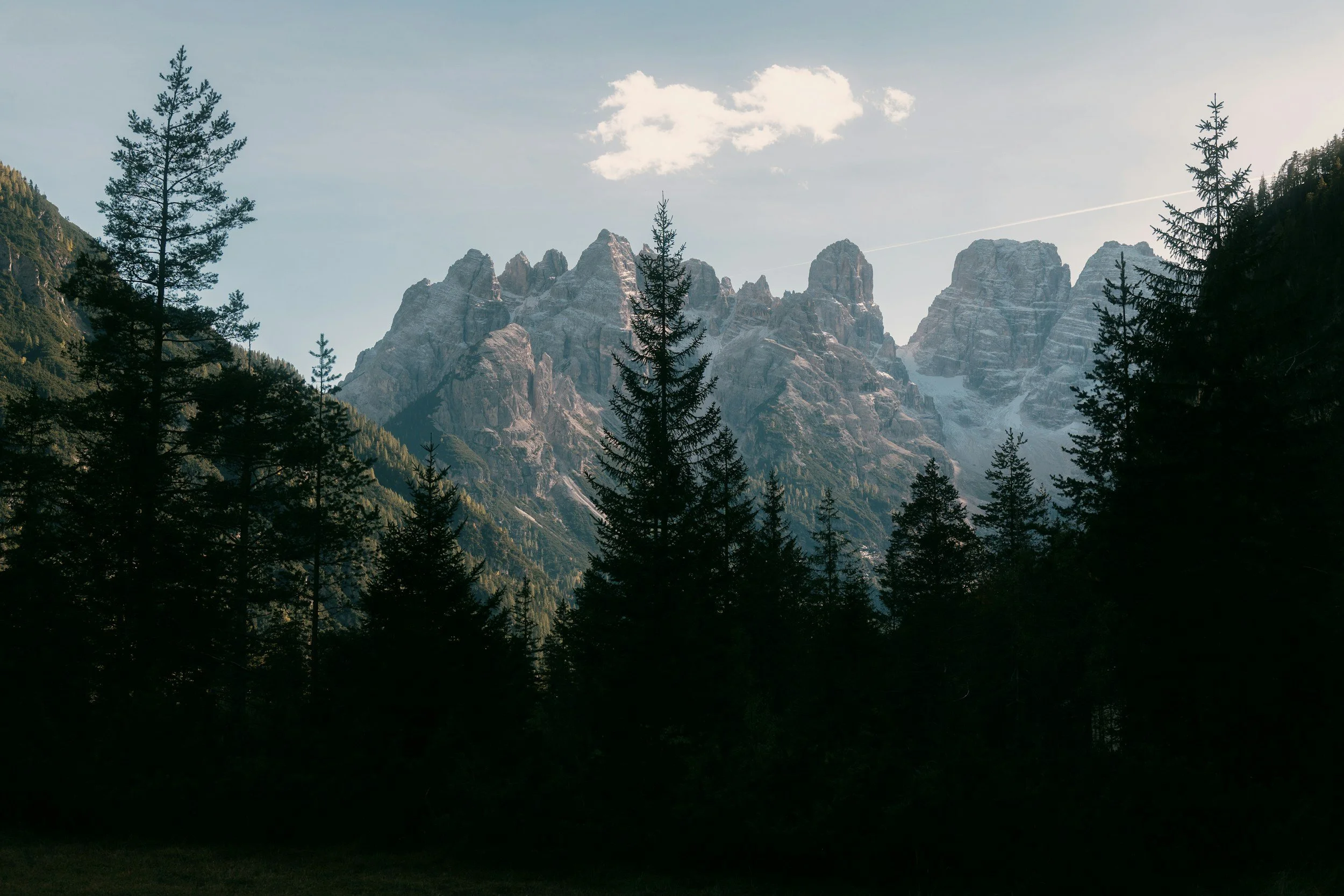 Why 2026 Could Be Nature's Breakthrough Year for Business