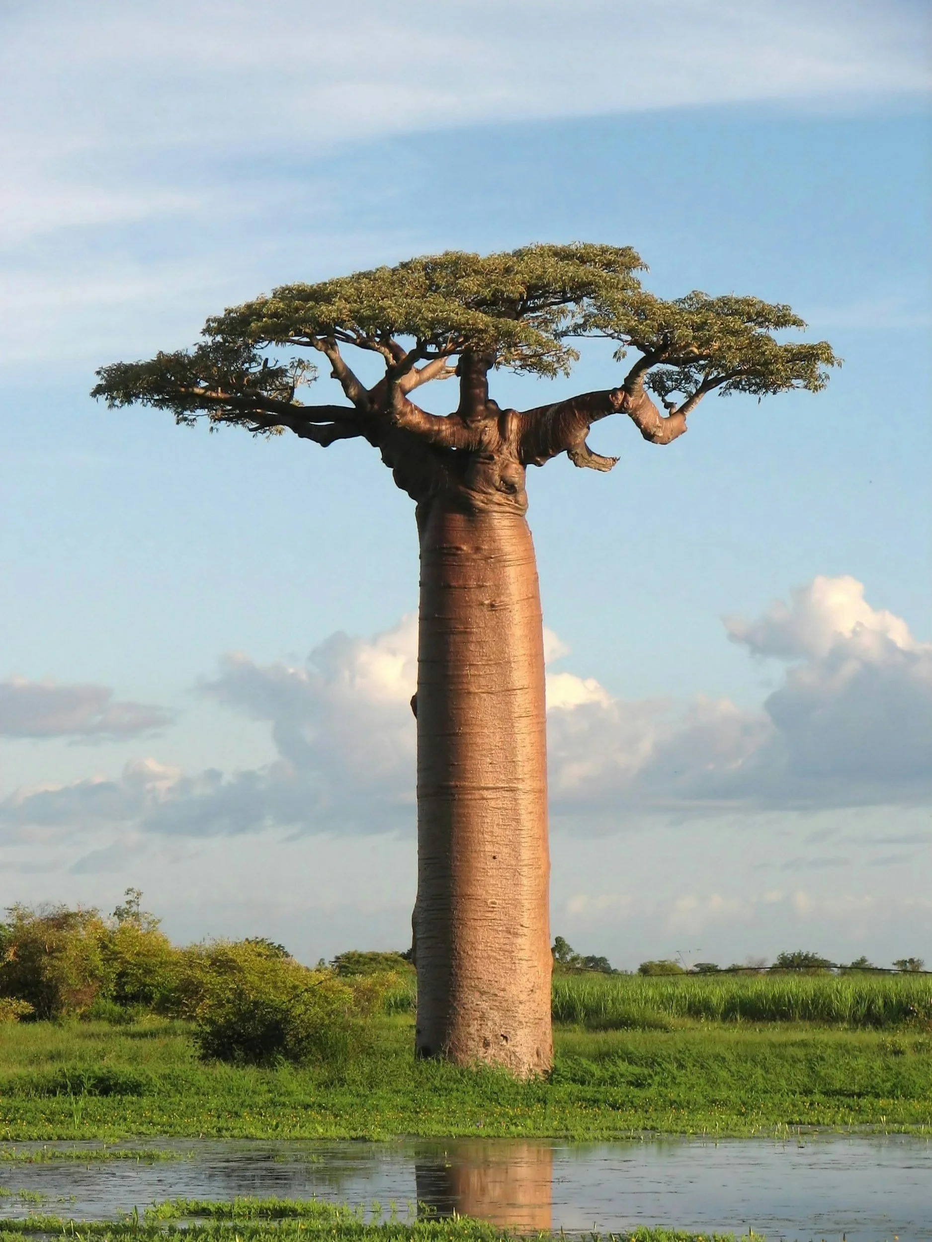 How to Communicate Your Nature Positive Story with Credibility