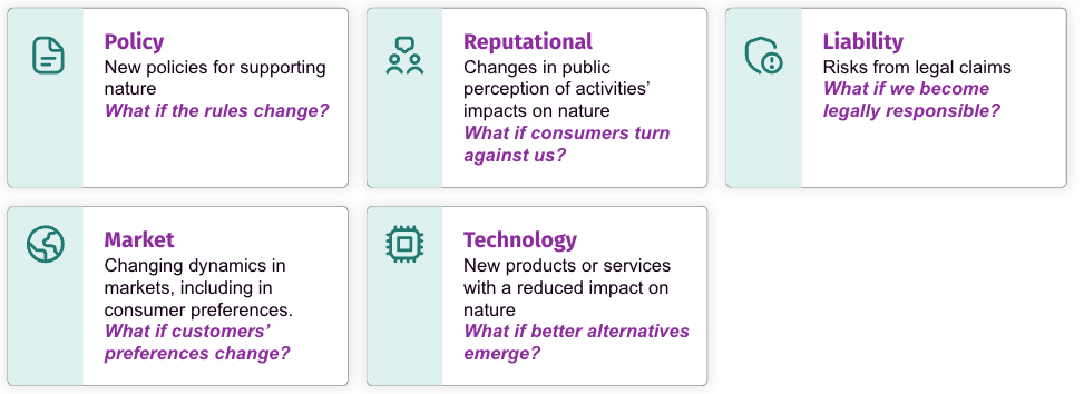 Five transition risk types: Policy (new policies for supporting nature), Reputational (public perception shifts), Liability (risks from legal claims), Market (changing dynamics in markets), and Technology (lower-impact alternatives emerging).