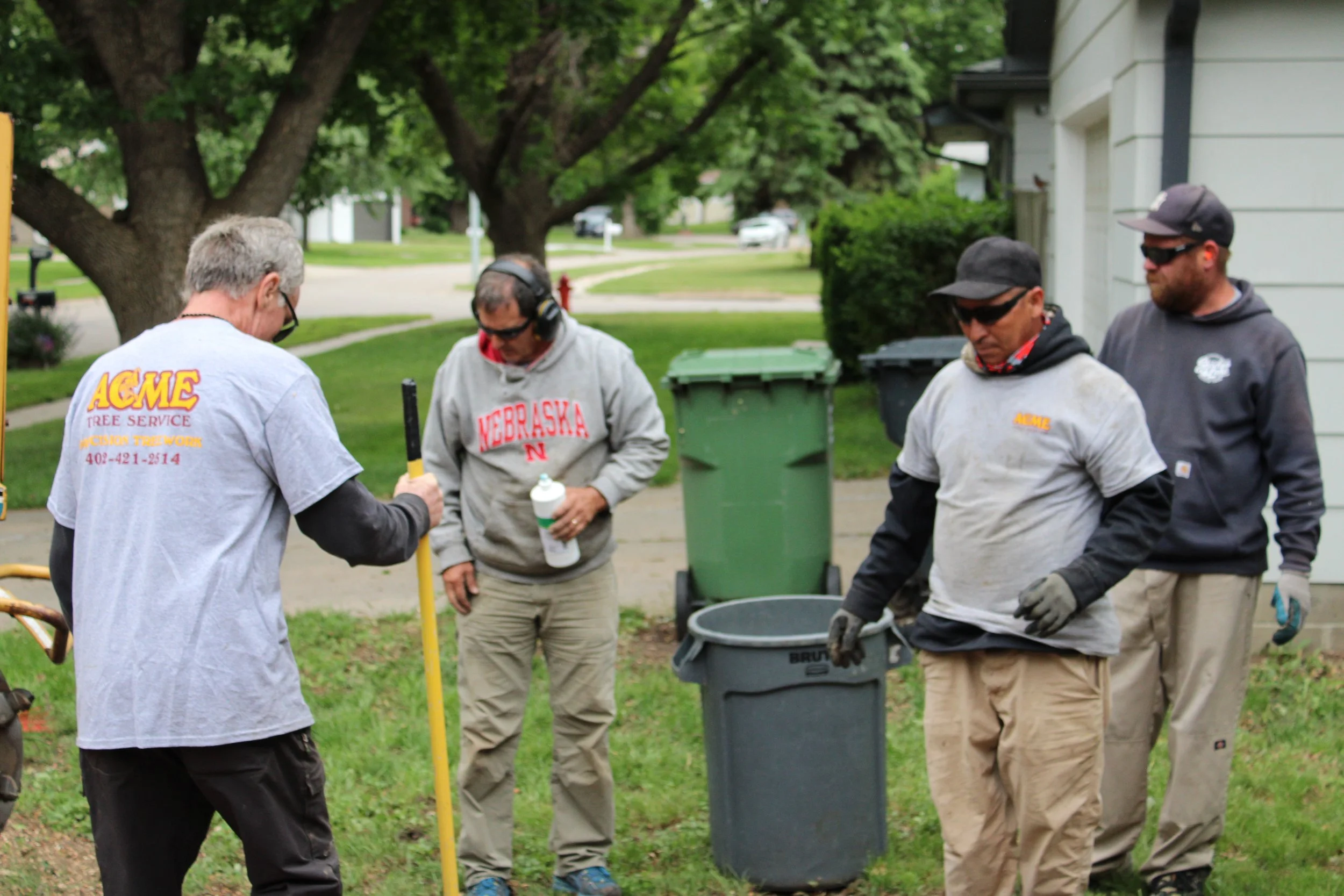 Acme Tree Services gallery 7