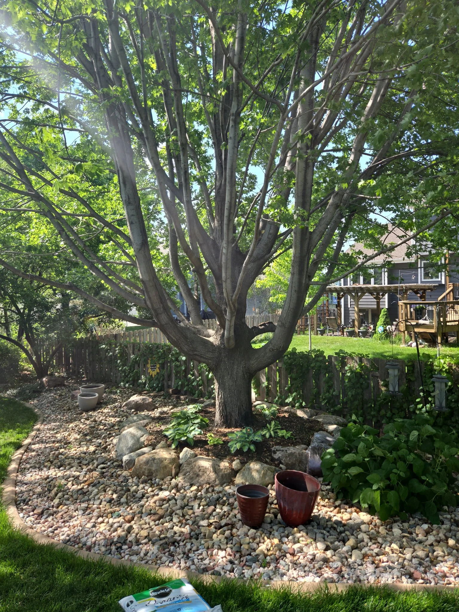 Acme Tree Services gallery 2
