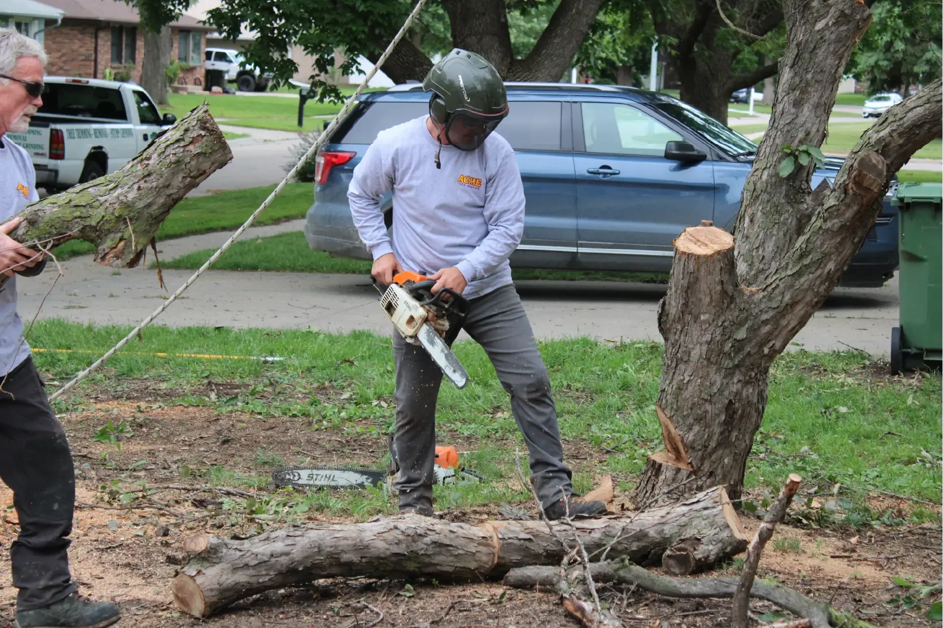 Acme Tree Services gallery 5