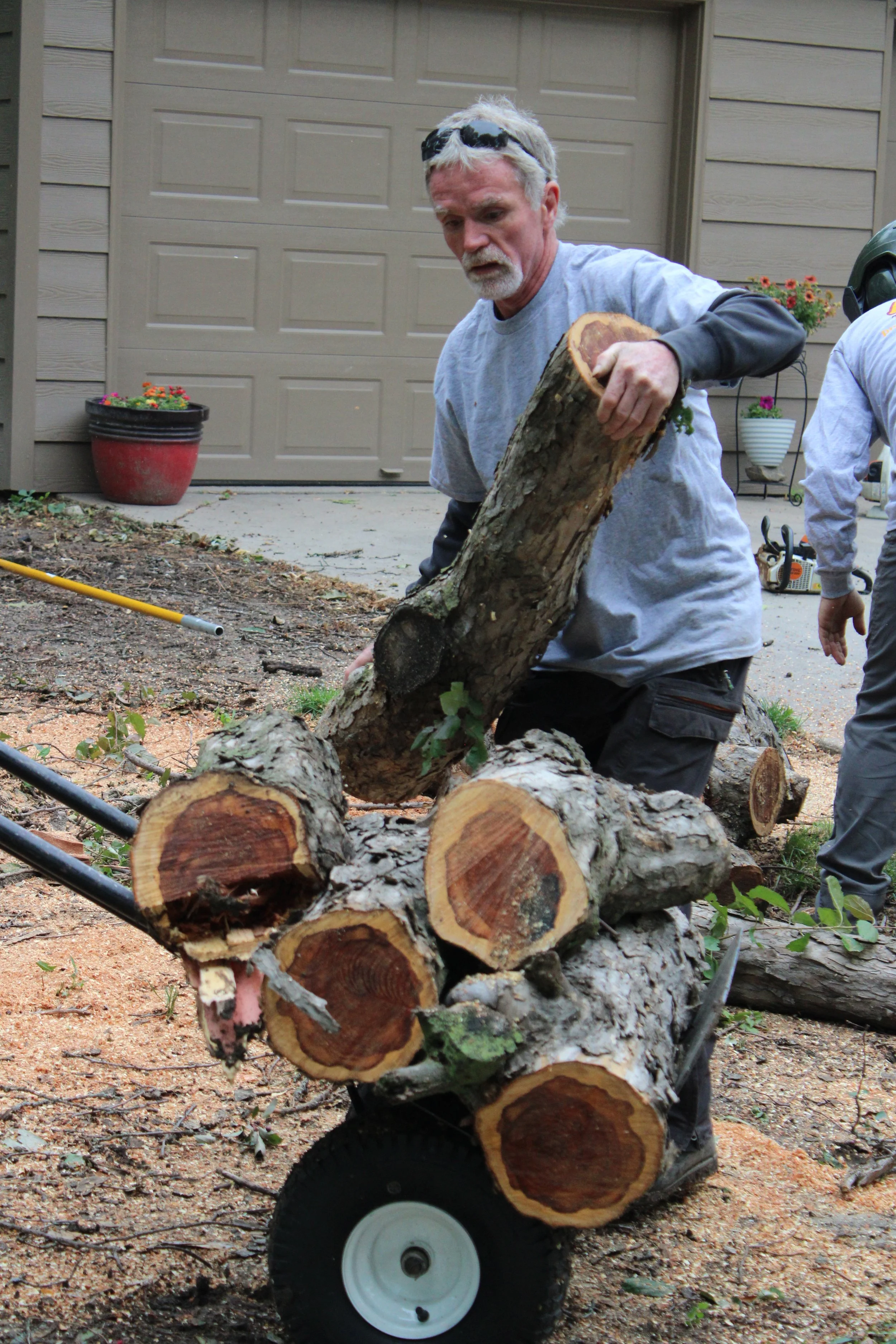 Acme Tree Services gallery 3