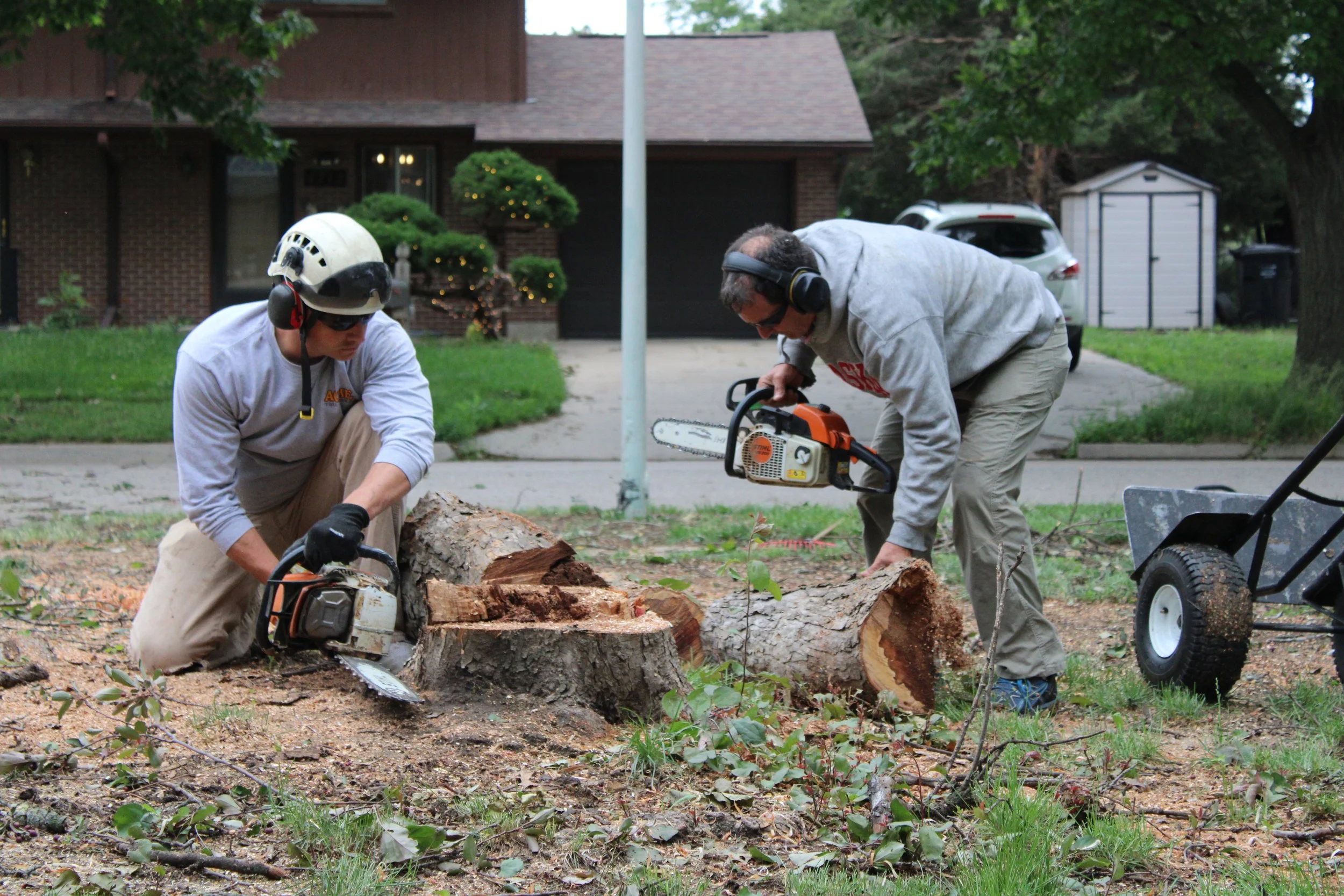 Acme Tree Services gallery 4
