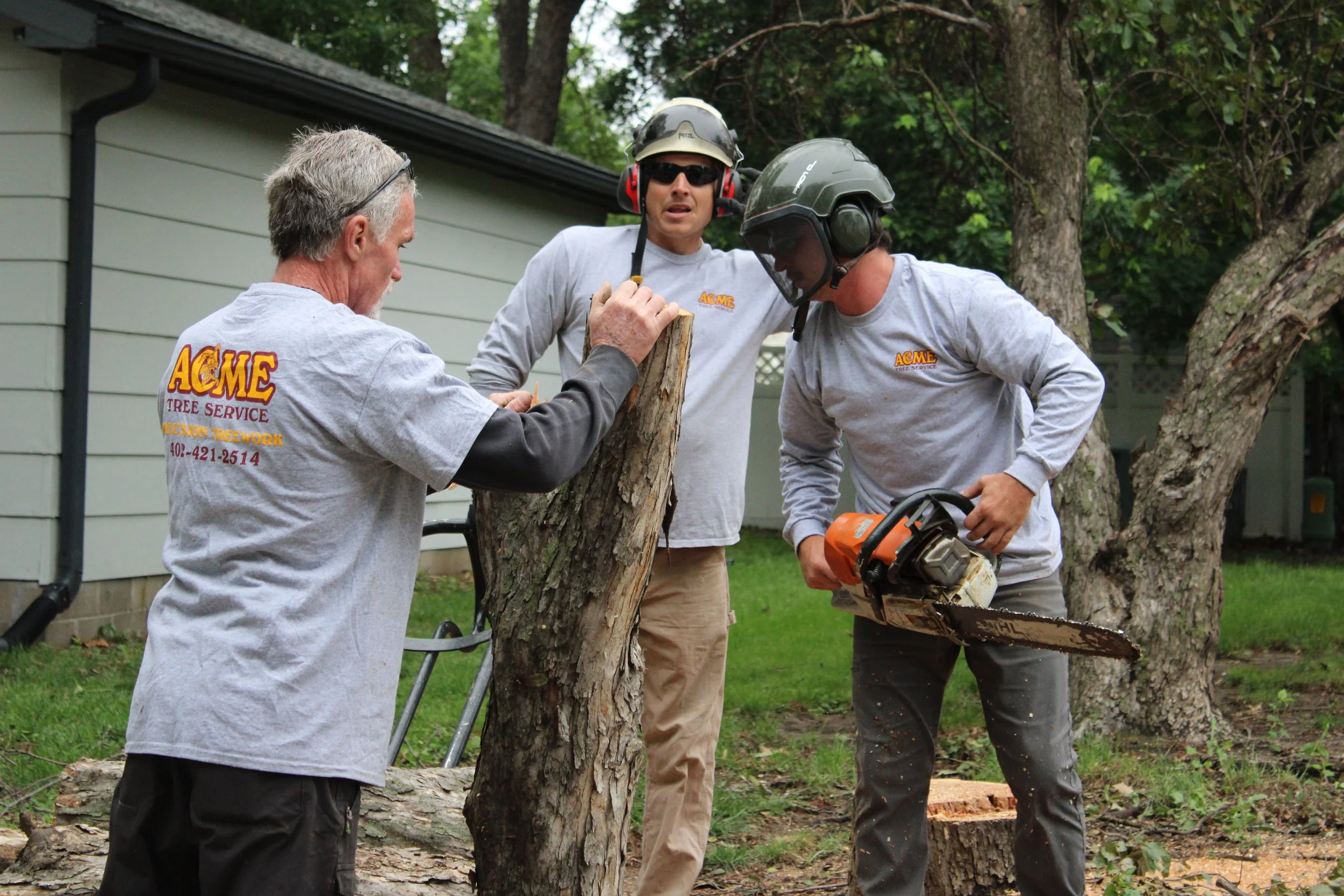 Acme Tree Services gallery 6