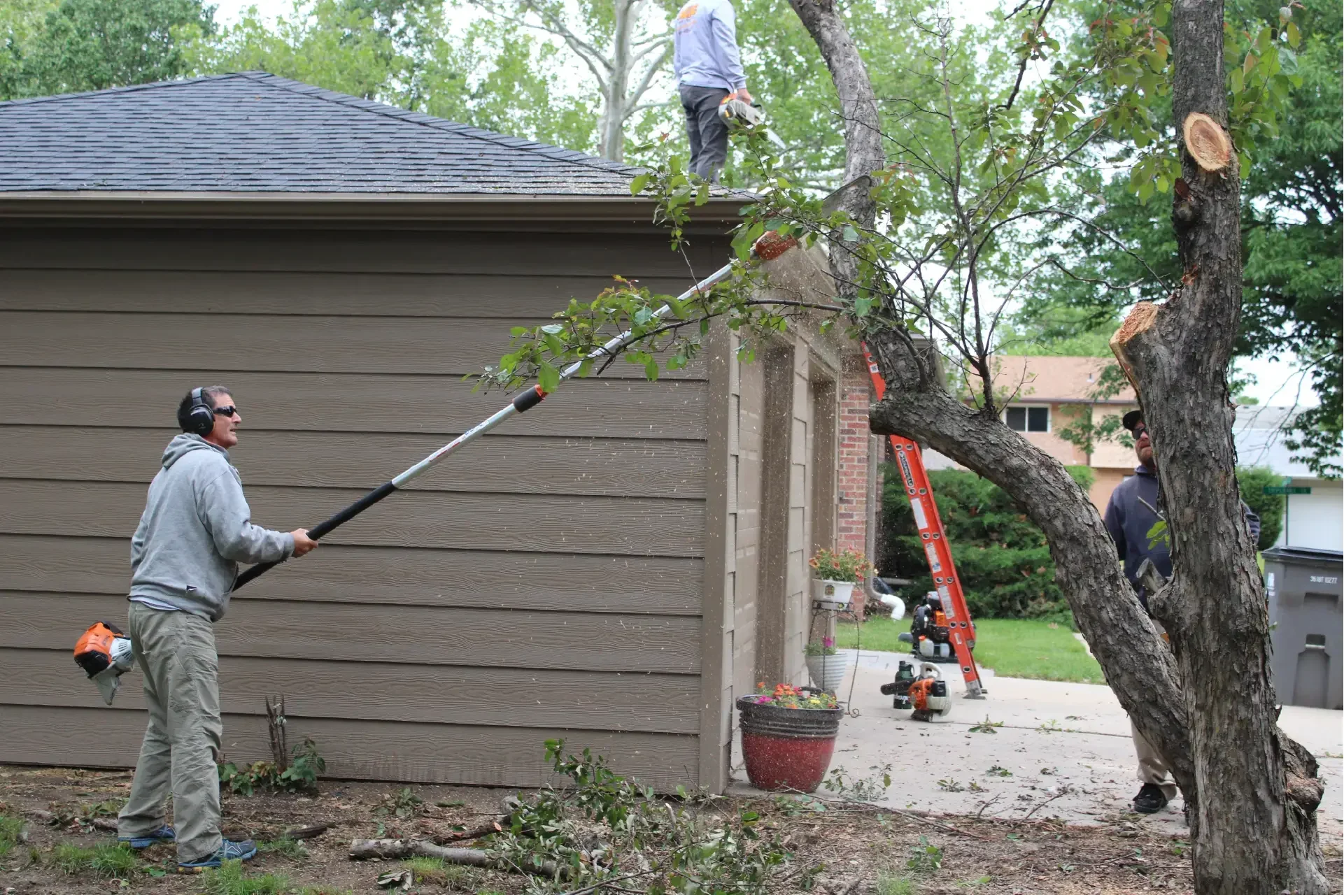 Acme Tree Services gallery 8
