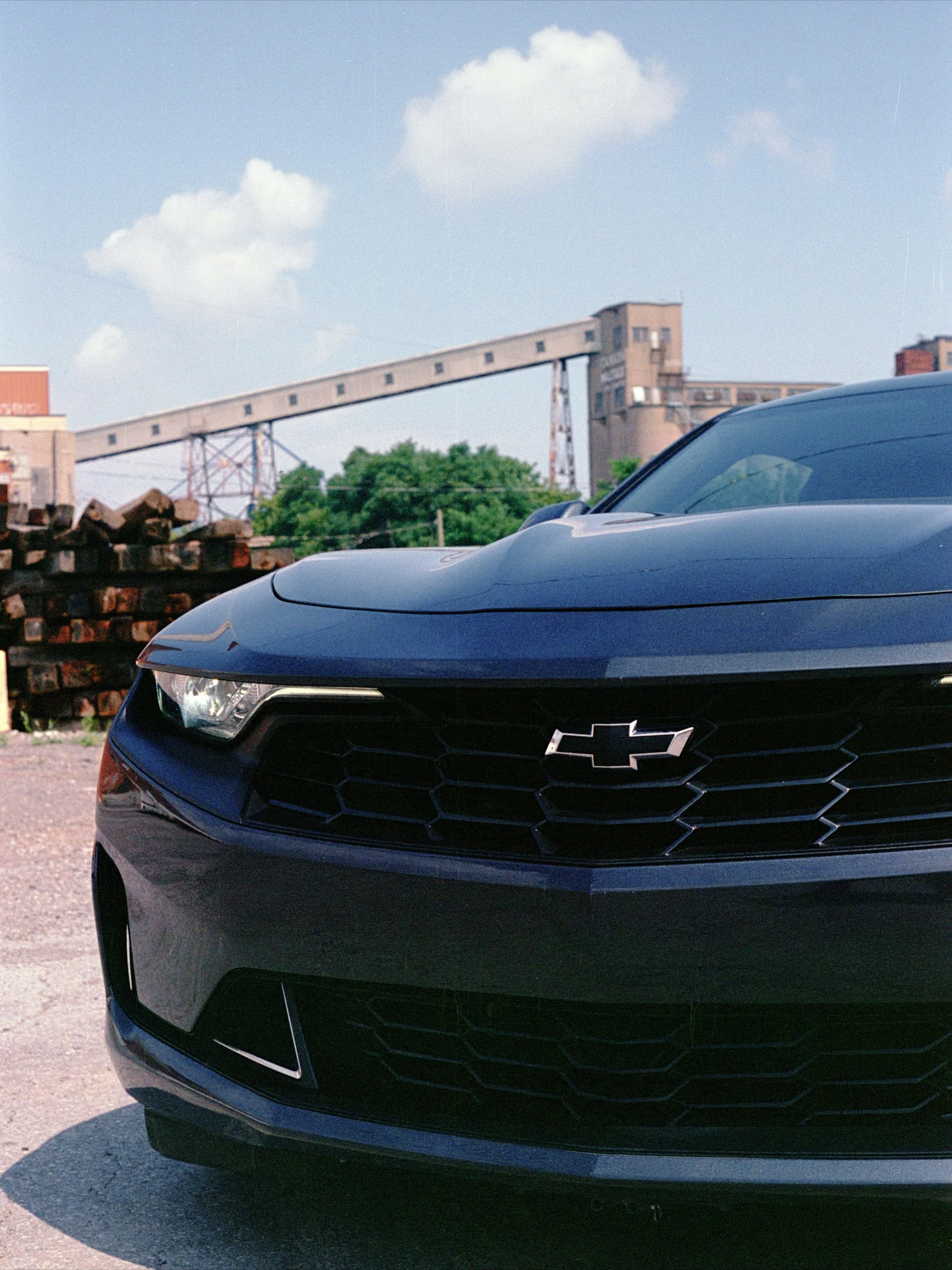 Darren & Camero (10).tif.jpeg