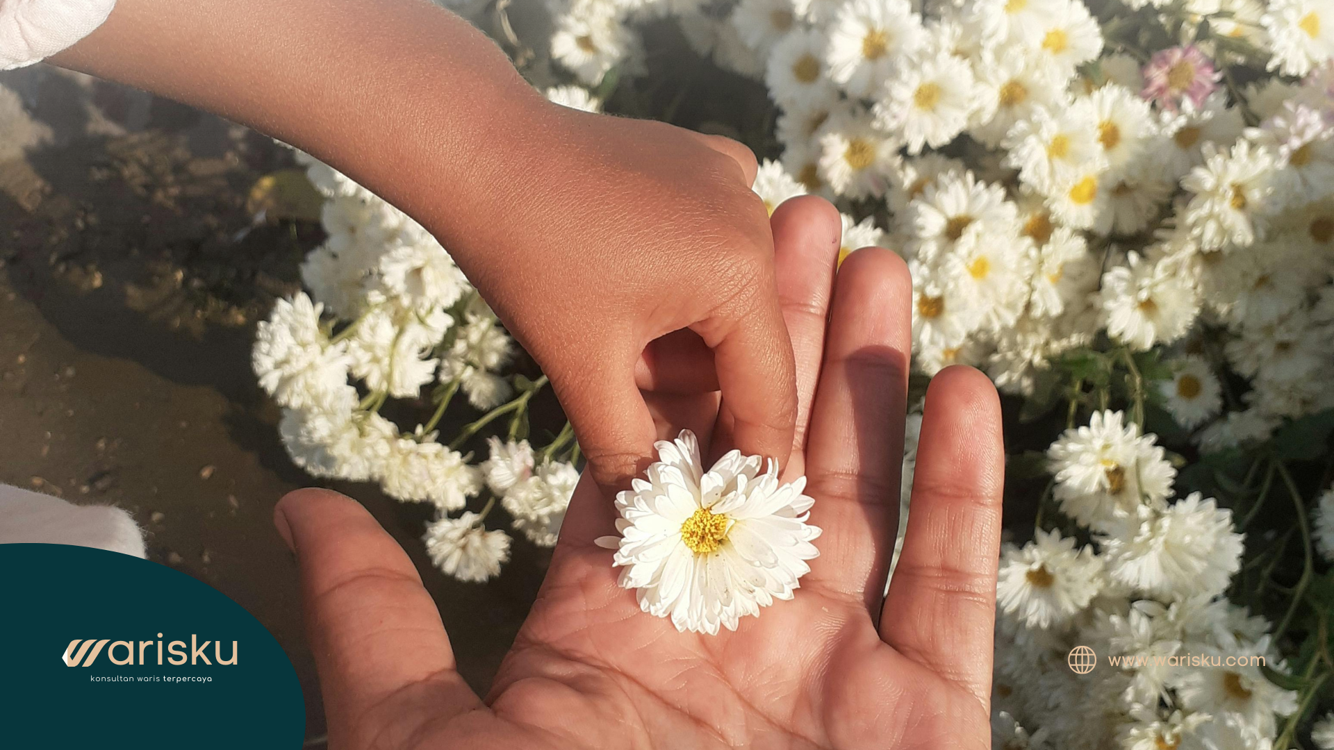 Anak Meninggal Duluan: Bagaimana Hak Waris bagi Orang Tua (Ayah dan Ibu)?