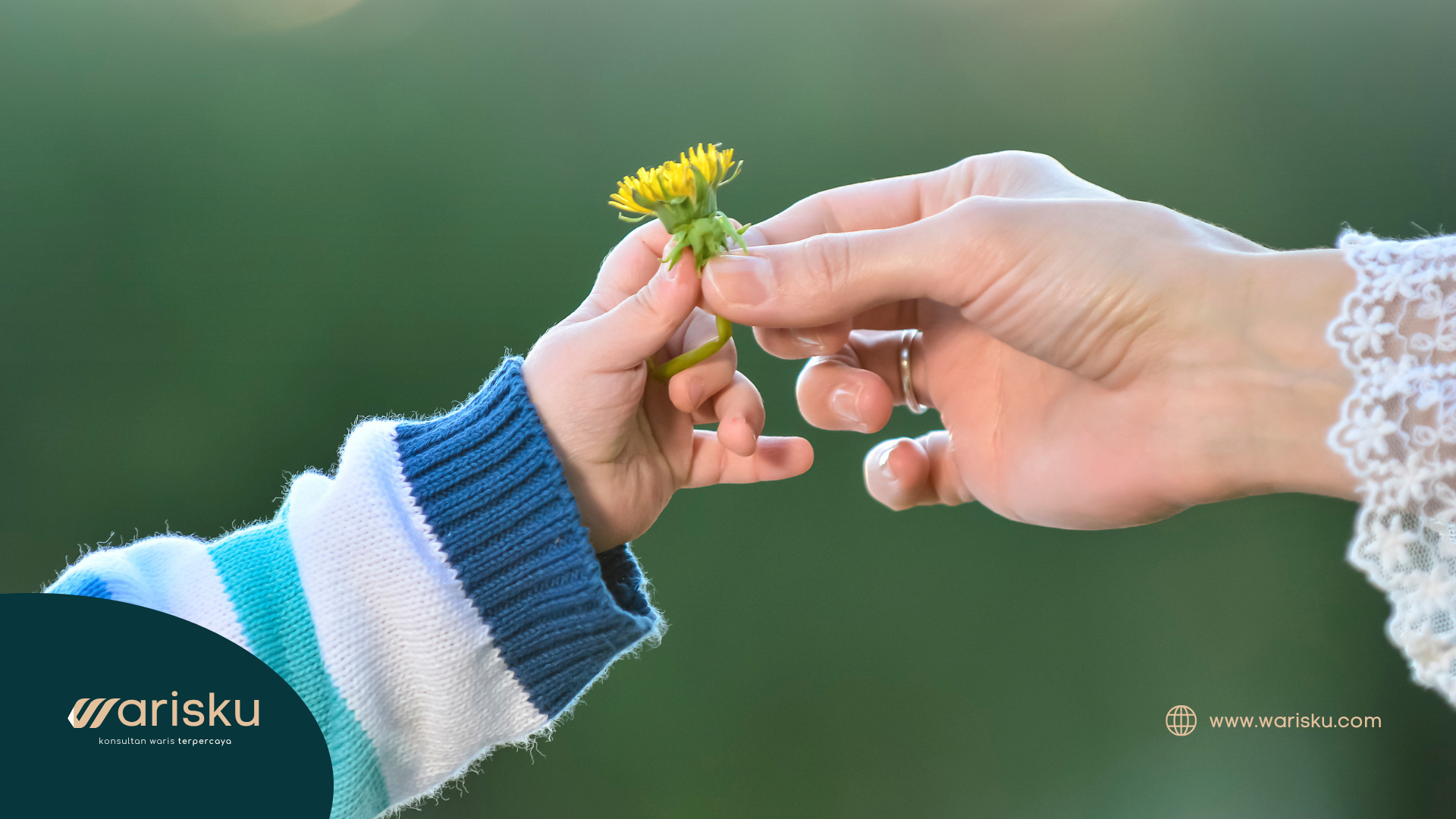 Ibu Sudah Pergi, Tapi Konflik Warisan Belum Selesai Juga — Panduan dari Ahli Hukum Waris