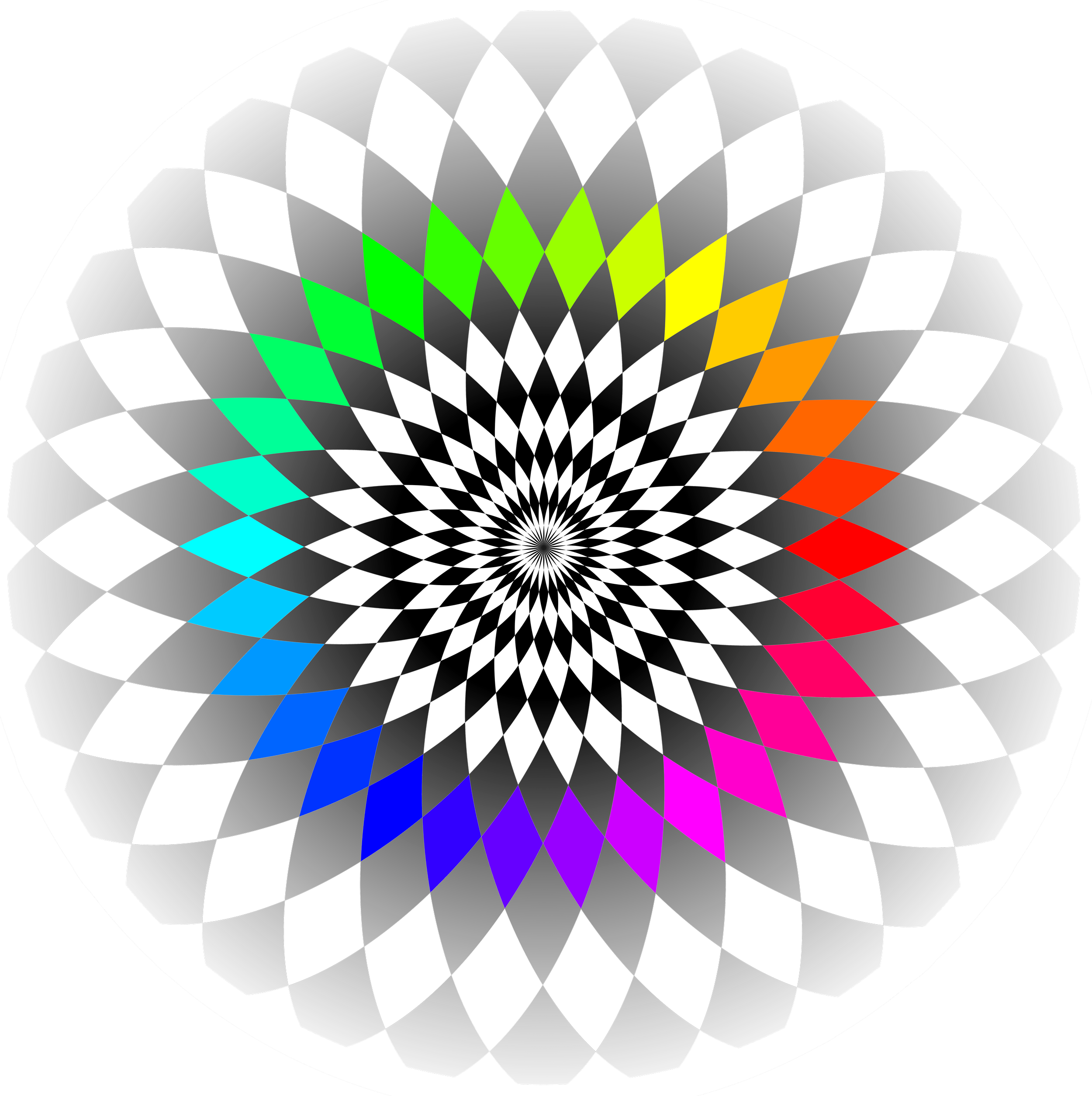 hsl-wheel on white-9999px2.png