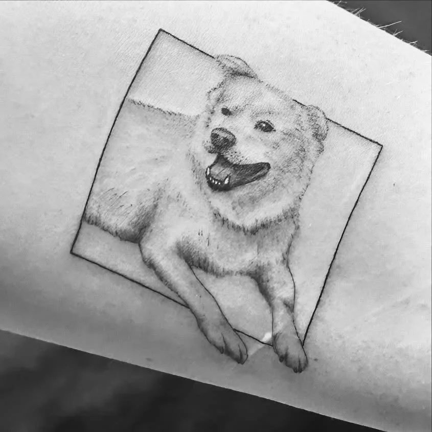 I&rsquo;m in my feels so I just wanted to say a few more things before Zero&rsquo;s face disappears from my feed (save for the occasional memory) forever. 

This dog was the goofiest, weirdest, most bizarre dog and I mean that in the best way. He had