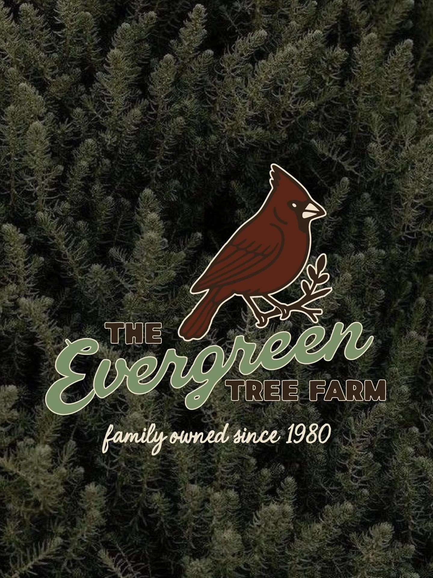 Celebrating family, forest, and festive magic 🌲✨❄️

Designed the brand for Evergreen Tree Farm to capture that whimsical, woodsy feeling. Family owned and passed down through hot chocolate recipes and beautiful trees. Evergreen Tree Farm is a little