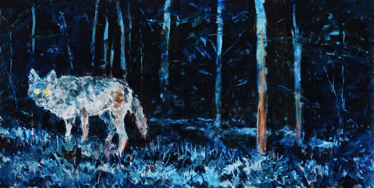 Coyotte at Night Hi Res (1).jpeg