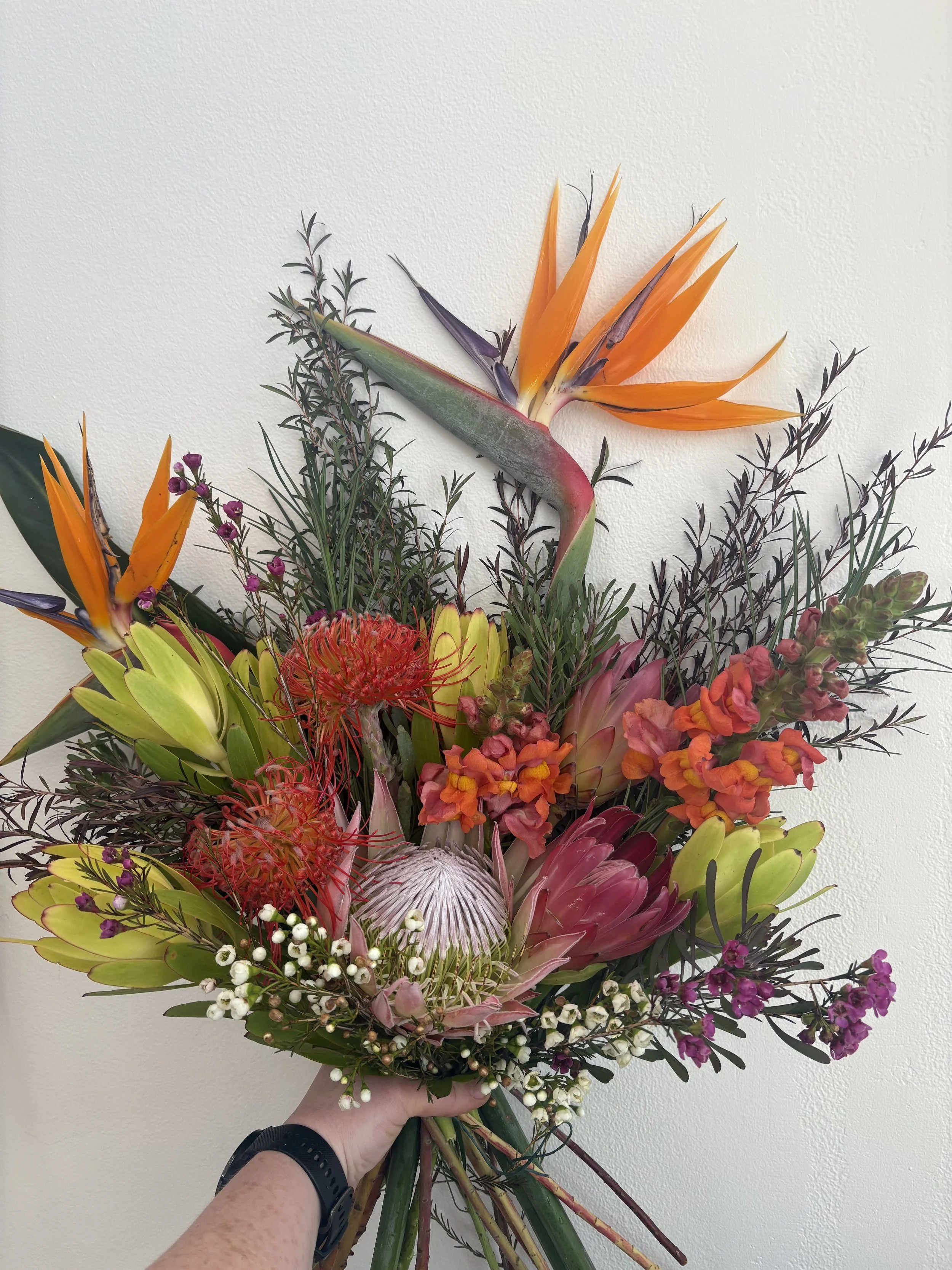 Sympathy natives.jpg