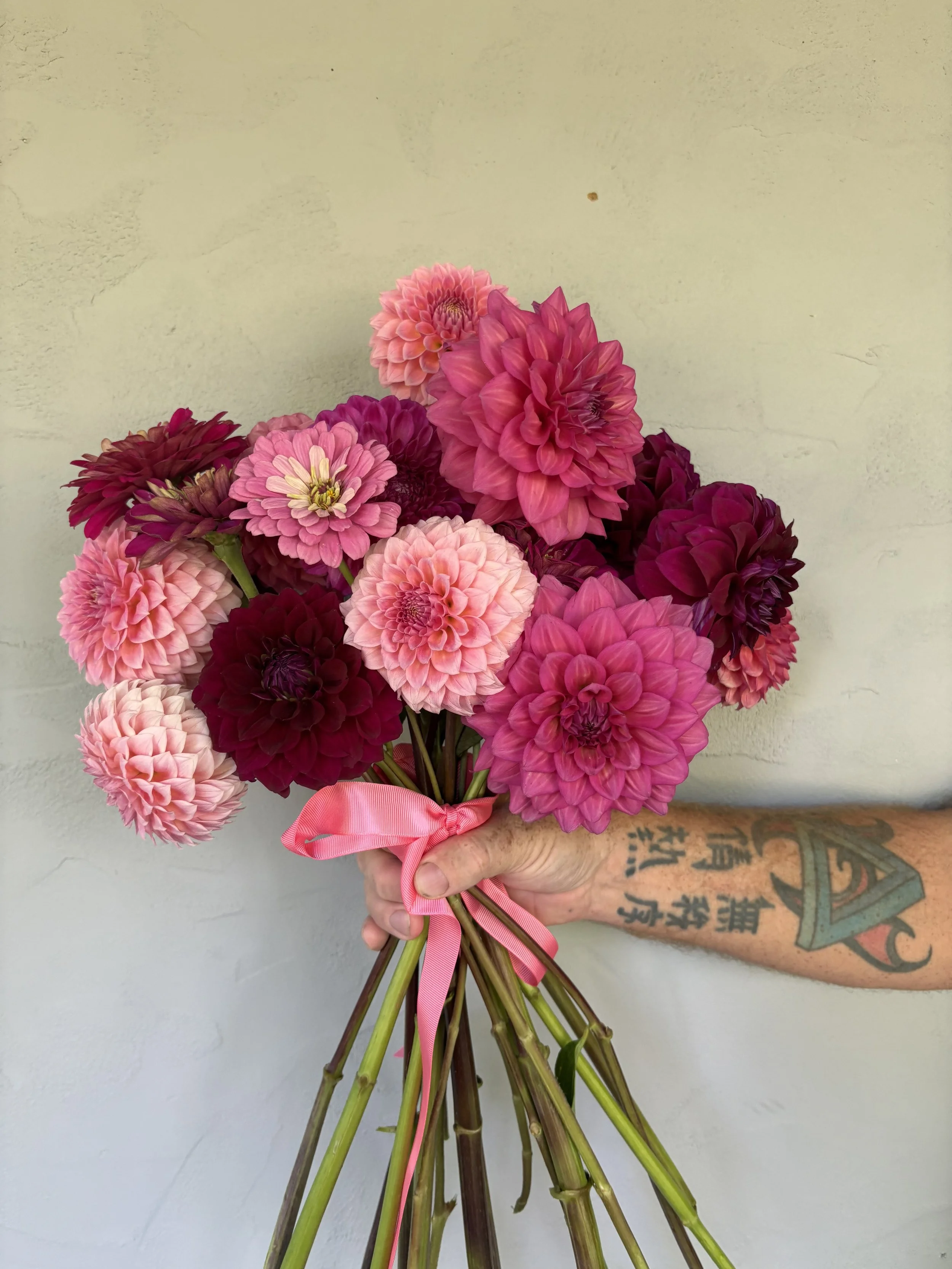 Hand holding a bouquet of pink and purple dahlias with a pink ribbon against a neutral wall.