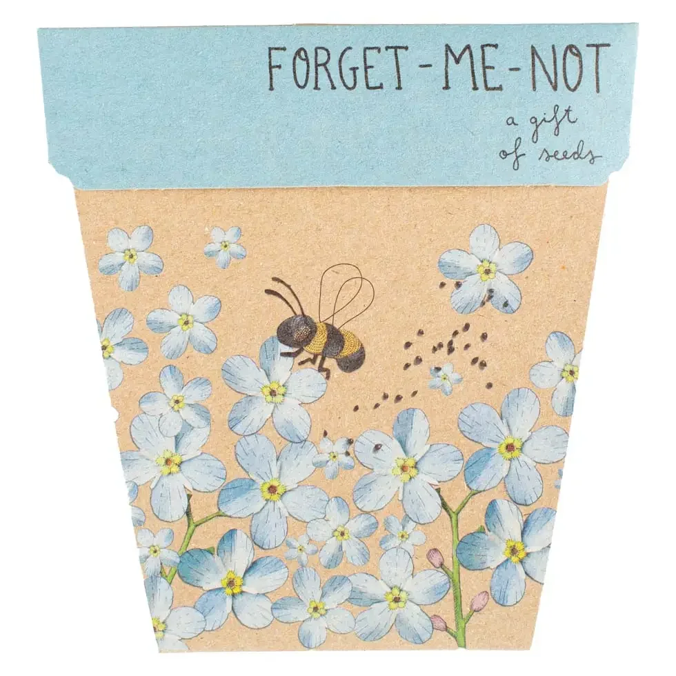 Forget-Me-Not.webp