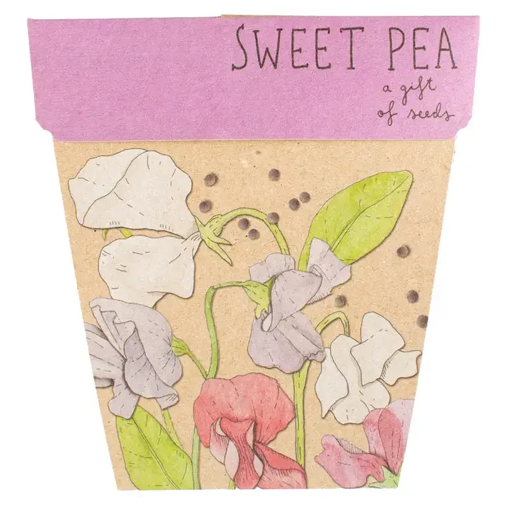 Sweet Pea Seeds.webp