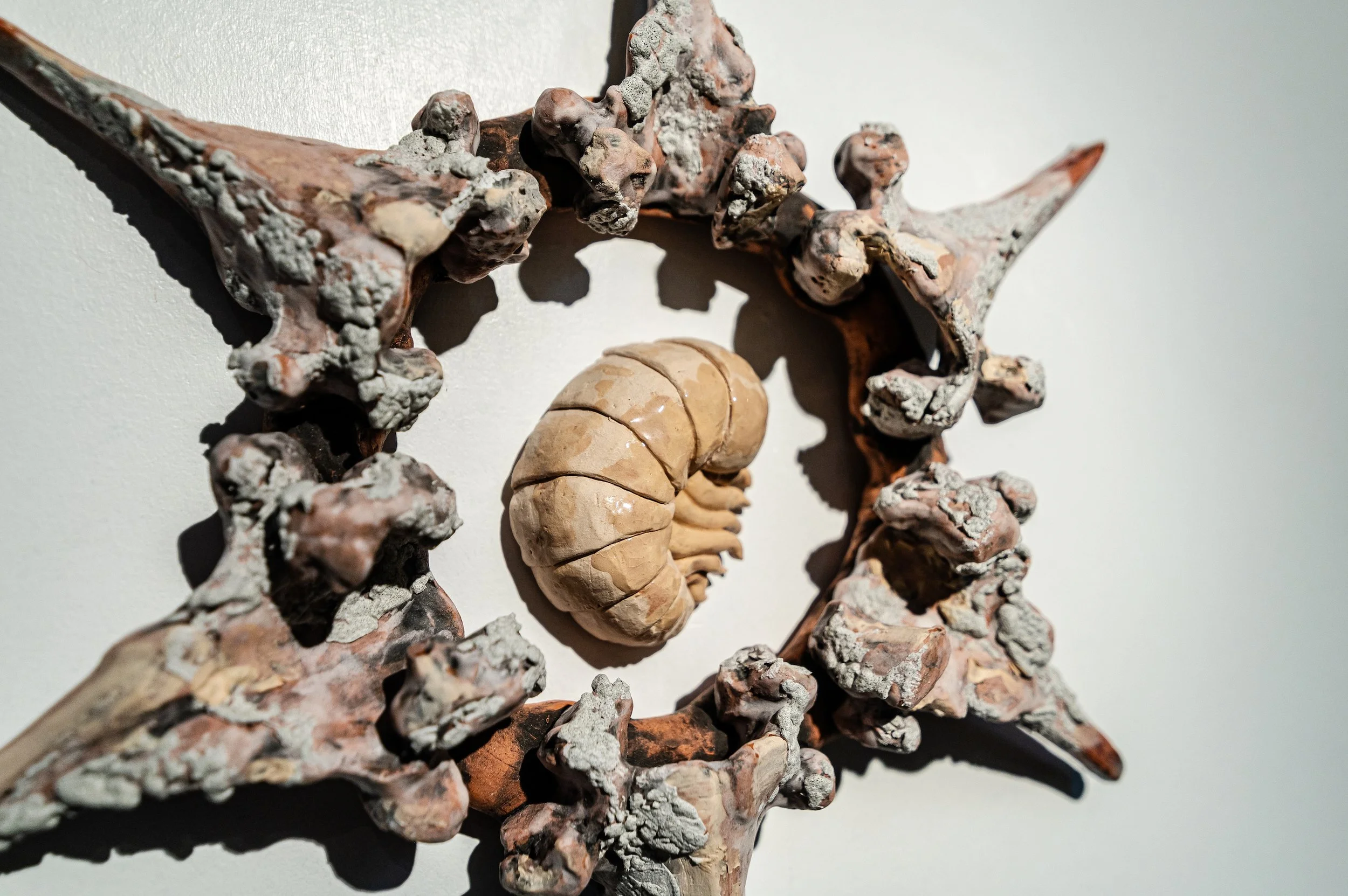Decomposed Cow Bone Star, ceramic, H23" x W23", 2026