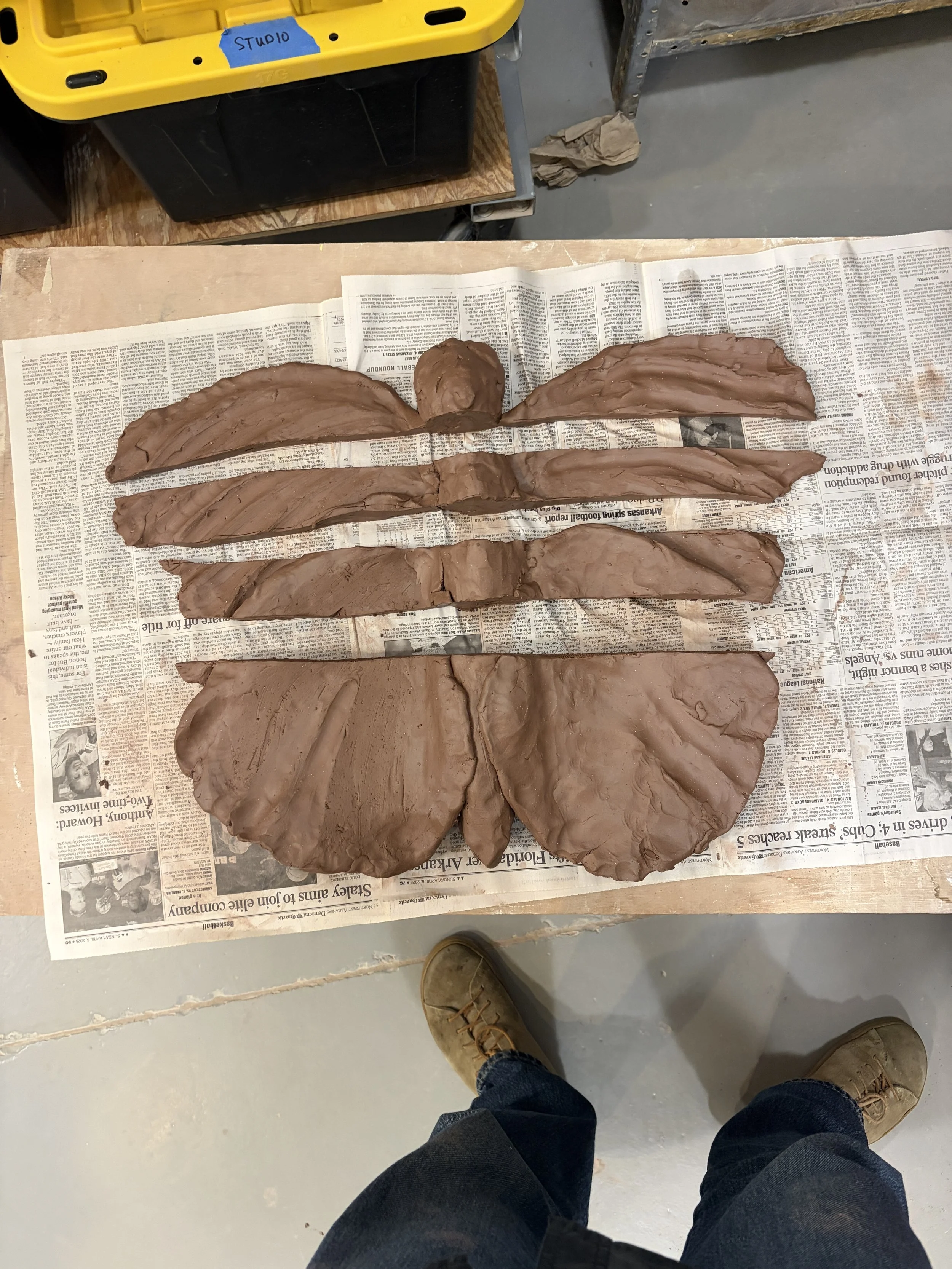 moth in pieces
